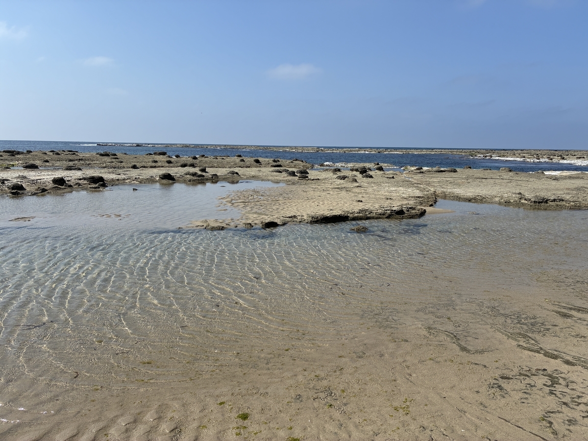 石見畳ヶ浦 千畳敷