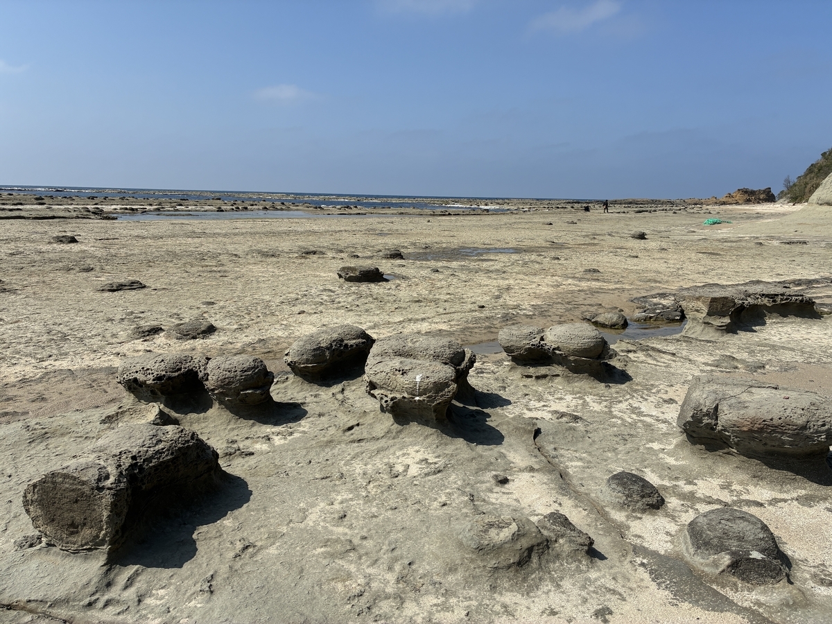 石見畳ヶ浦 ノジュール