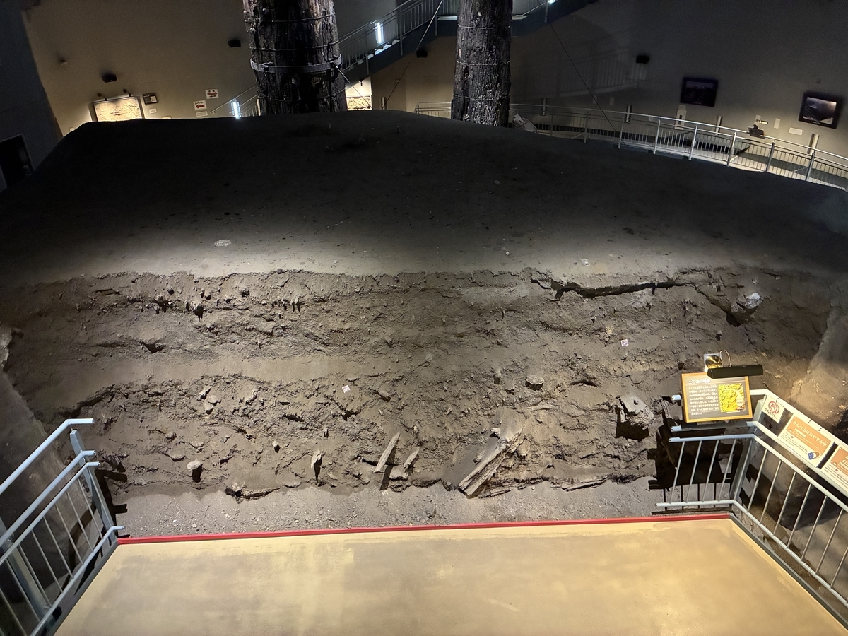 縄文の森発掘保存展示棟