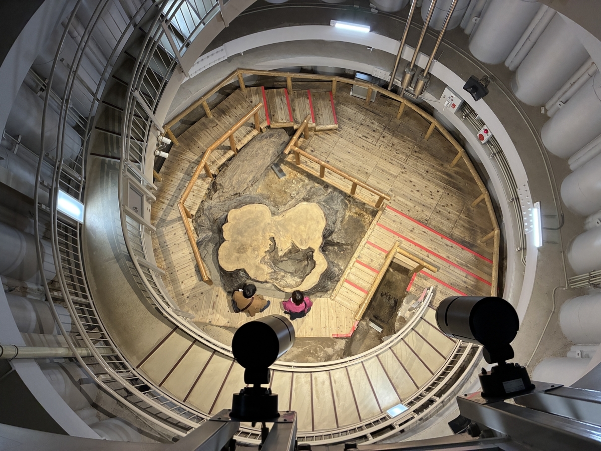合体木根株展示棟
