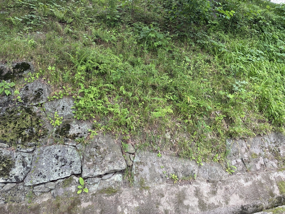 白石城 本丸外郭跡石垣