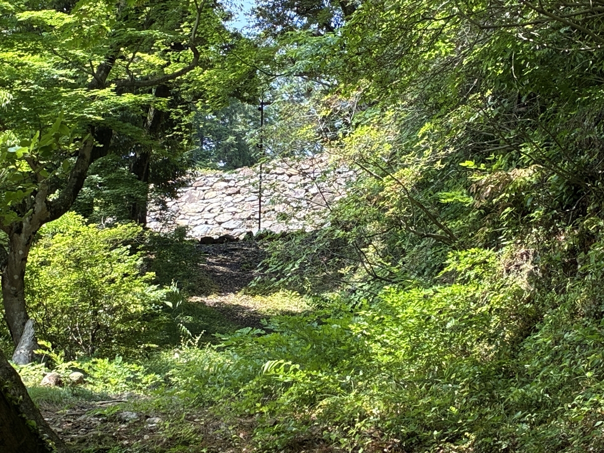 唐沢山城 樹間から望む石積み