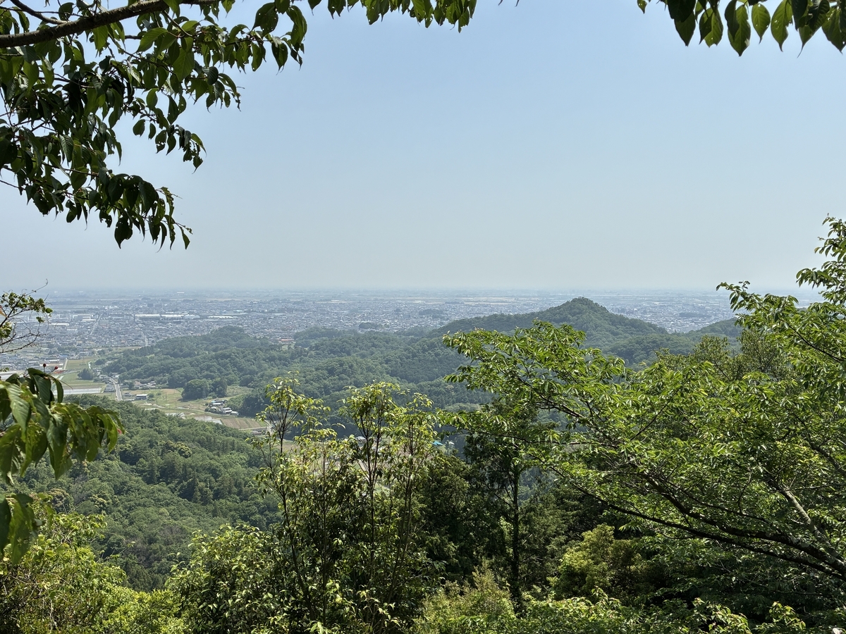 唐沢山城 南城跡からの眺望。かすんでいなければスカイツリー、新宿副都心などが一望できる。