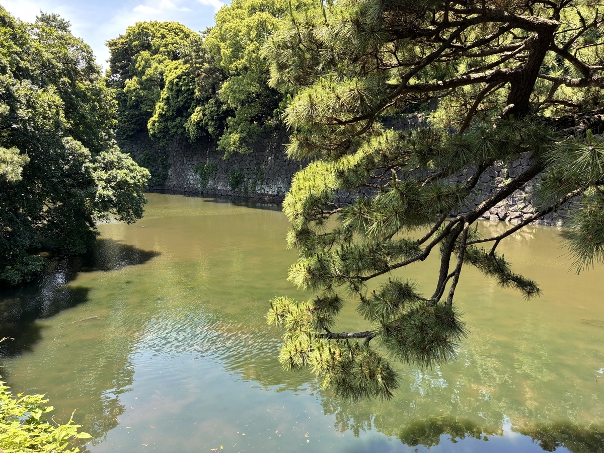 江戸城跡・天神濠。