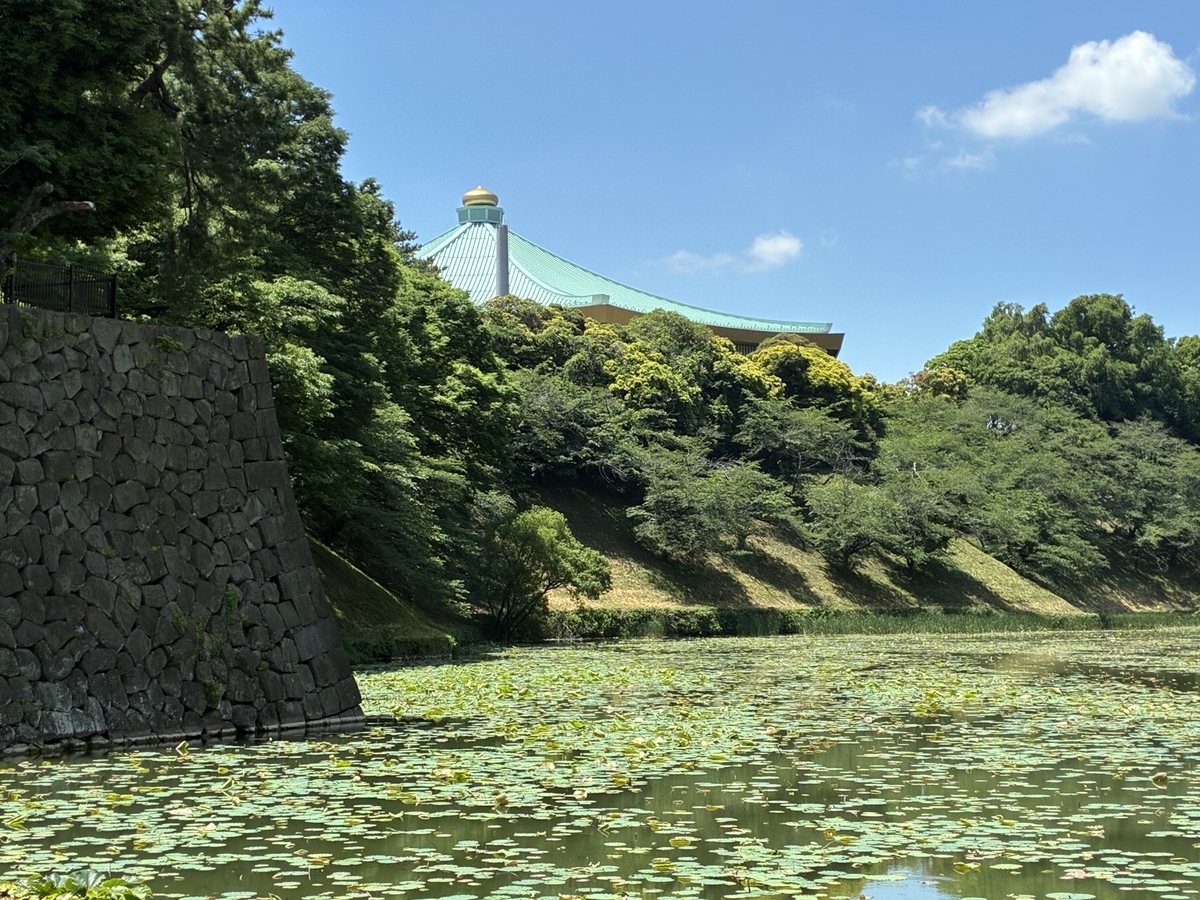 江戸城北の丸跡・清水橋から牛ヶ淵を眺める。