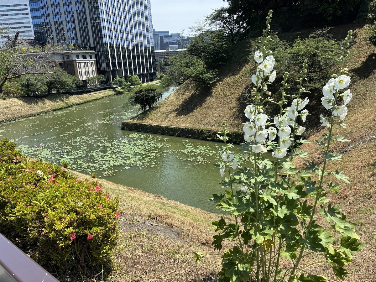 江戸城北の丸跡・田安門橋から牛ヶ淵を望む
