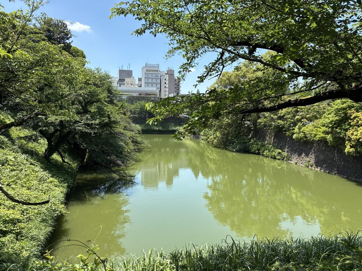 江戸城北の丸跡・田安橋門から千鳥ヶ淵を眺める。