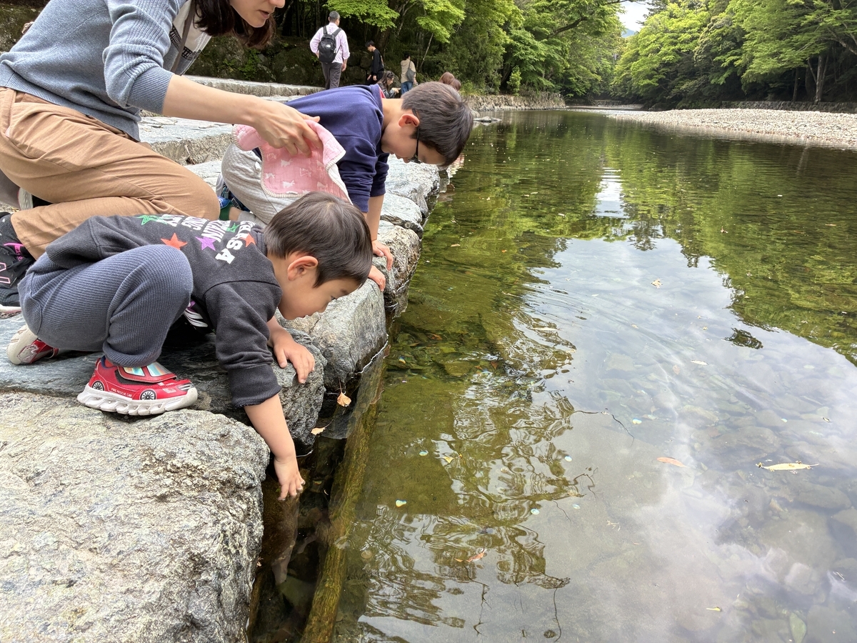 伊勢神宮 御手洗場。五十鈴川でお清めをする。