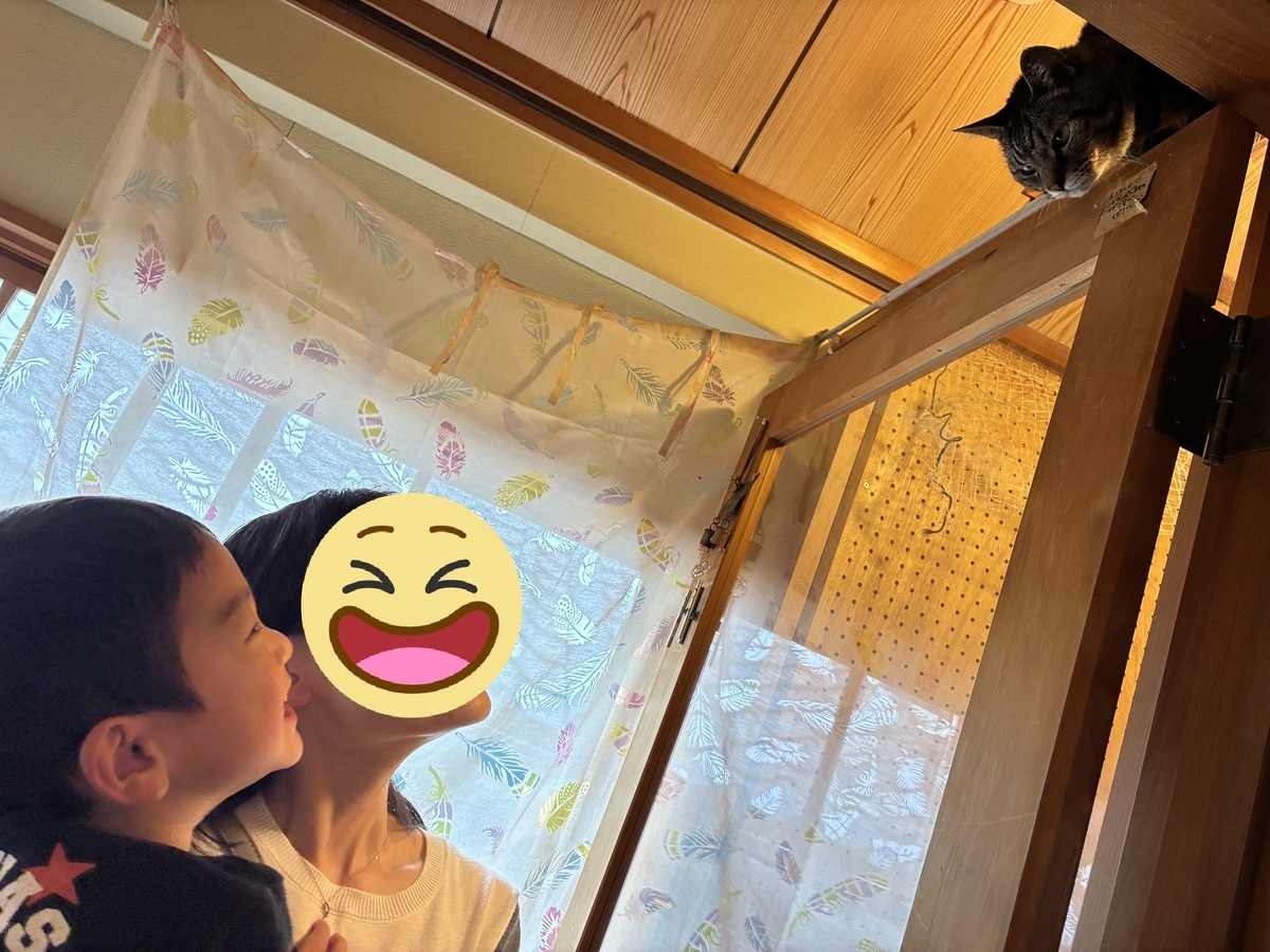 伊勢神宮参道・おはらい町 珈琲 浪漫の看板猫トラちゃん