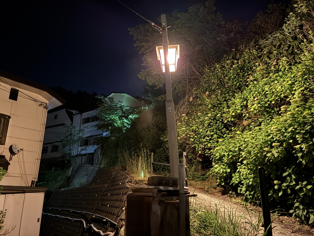 東多賀の湯から鳴子温泉外への道・夜