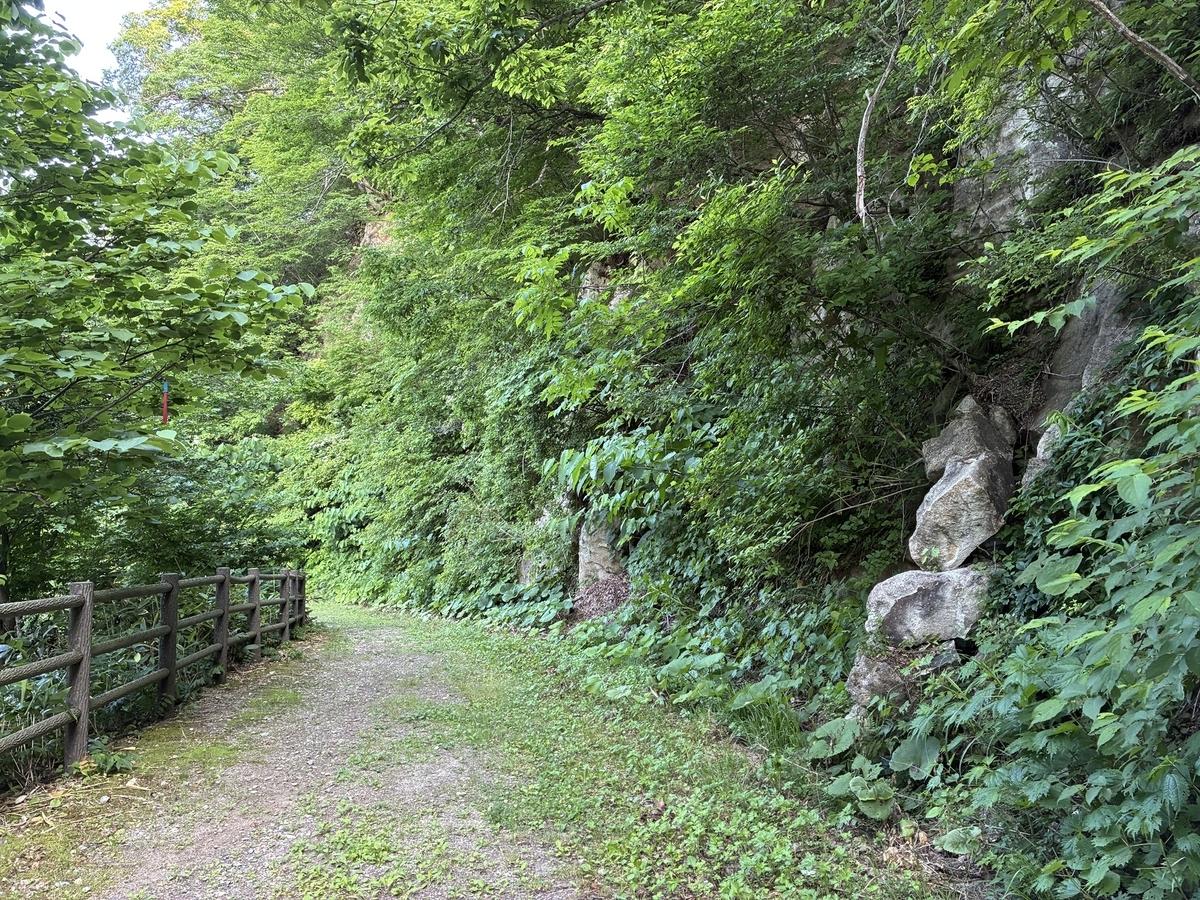 鳴子峡 大深沢遊歩道 時折岩肌がみられる。