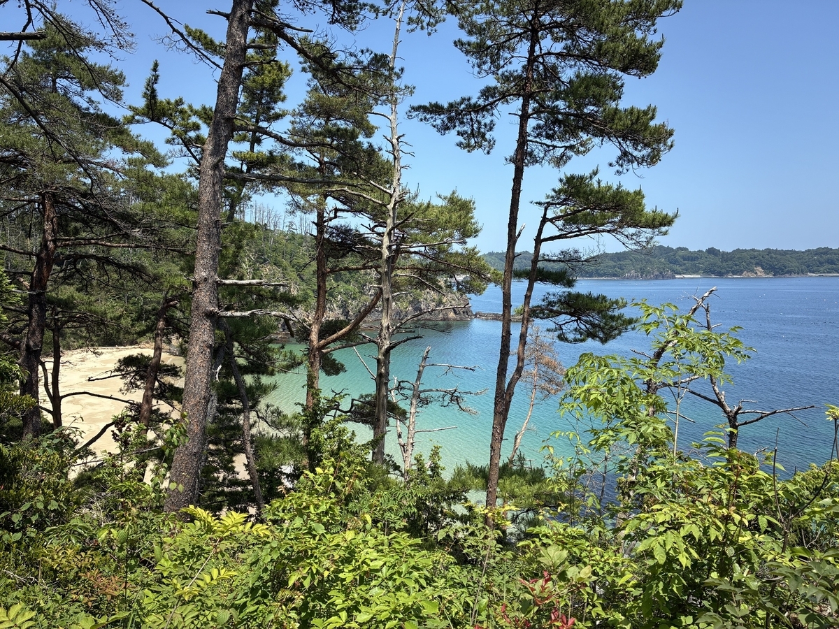 気仙沼大島 十八鳴浜の遊歩道。砂浜が見えてきた。