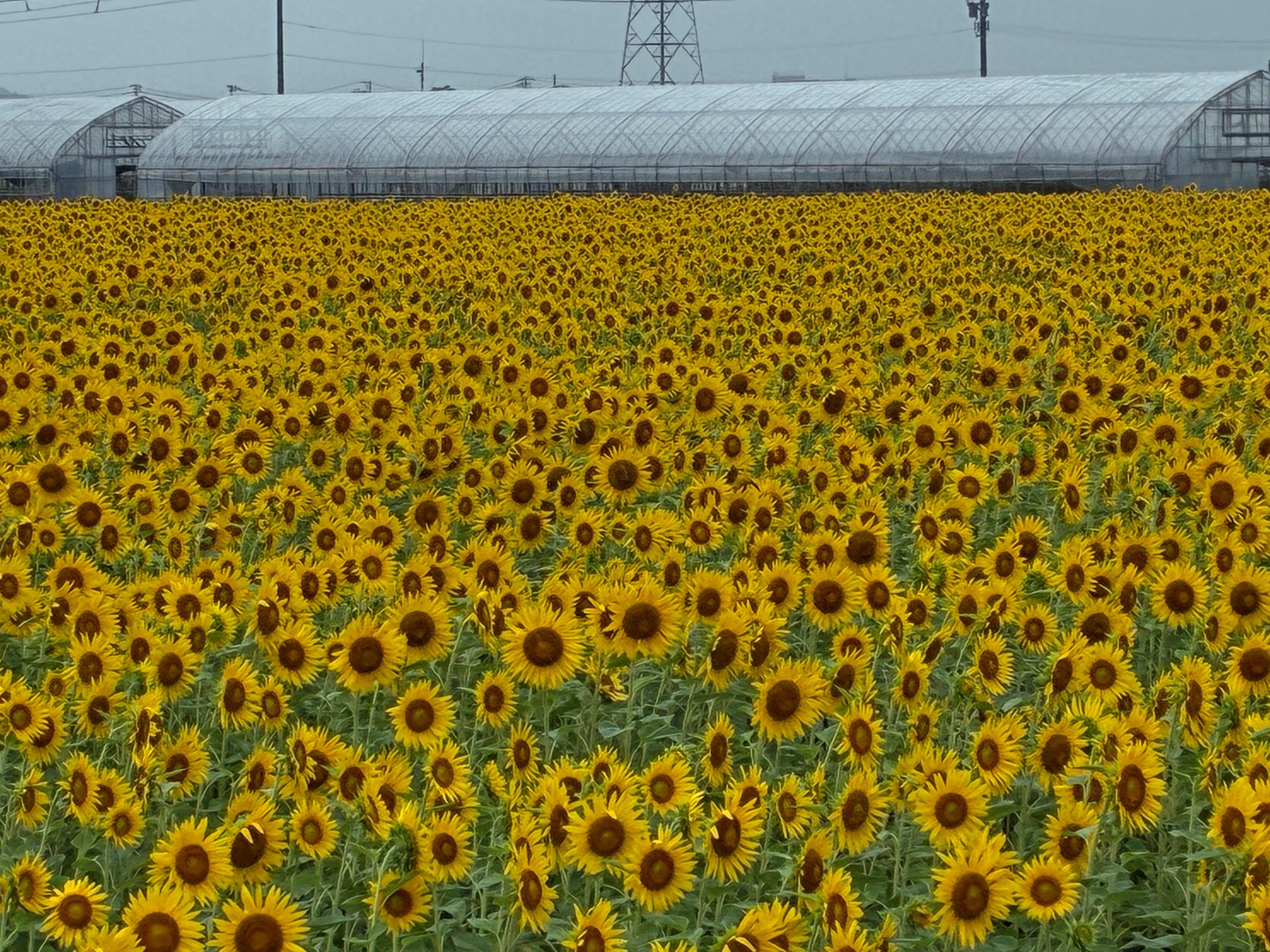 f:id:uraganokami:20250811222126j:image