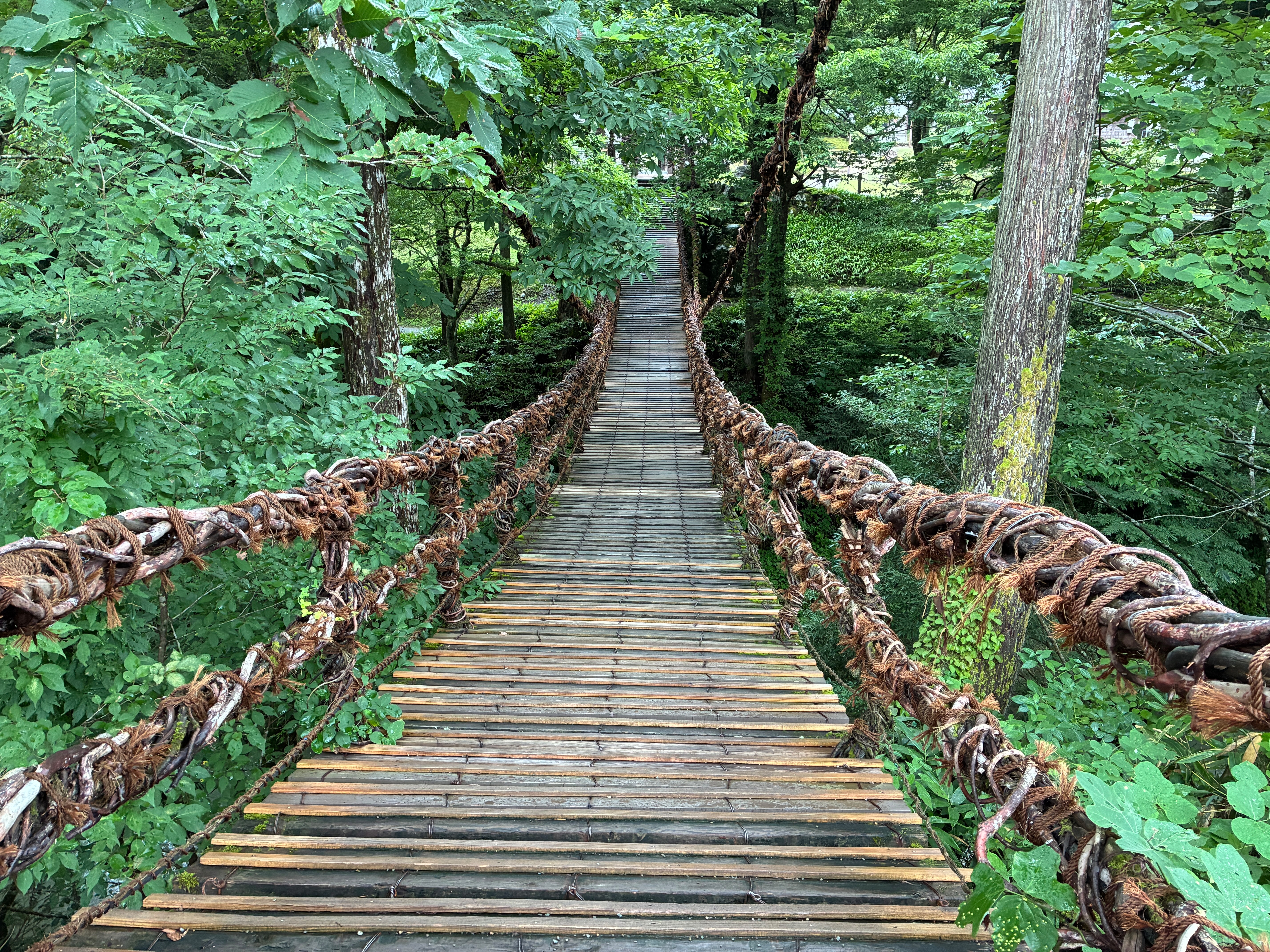 f:id:uraganokami:20250814062424j:image