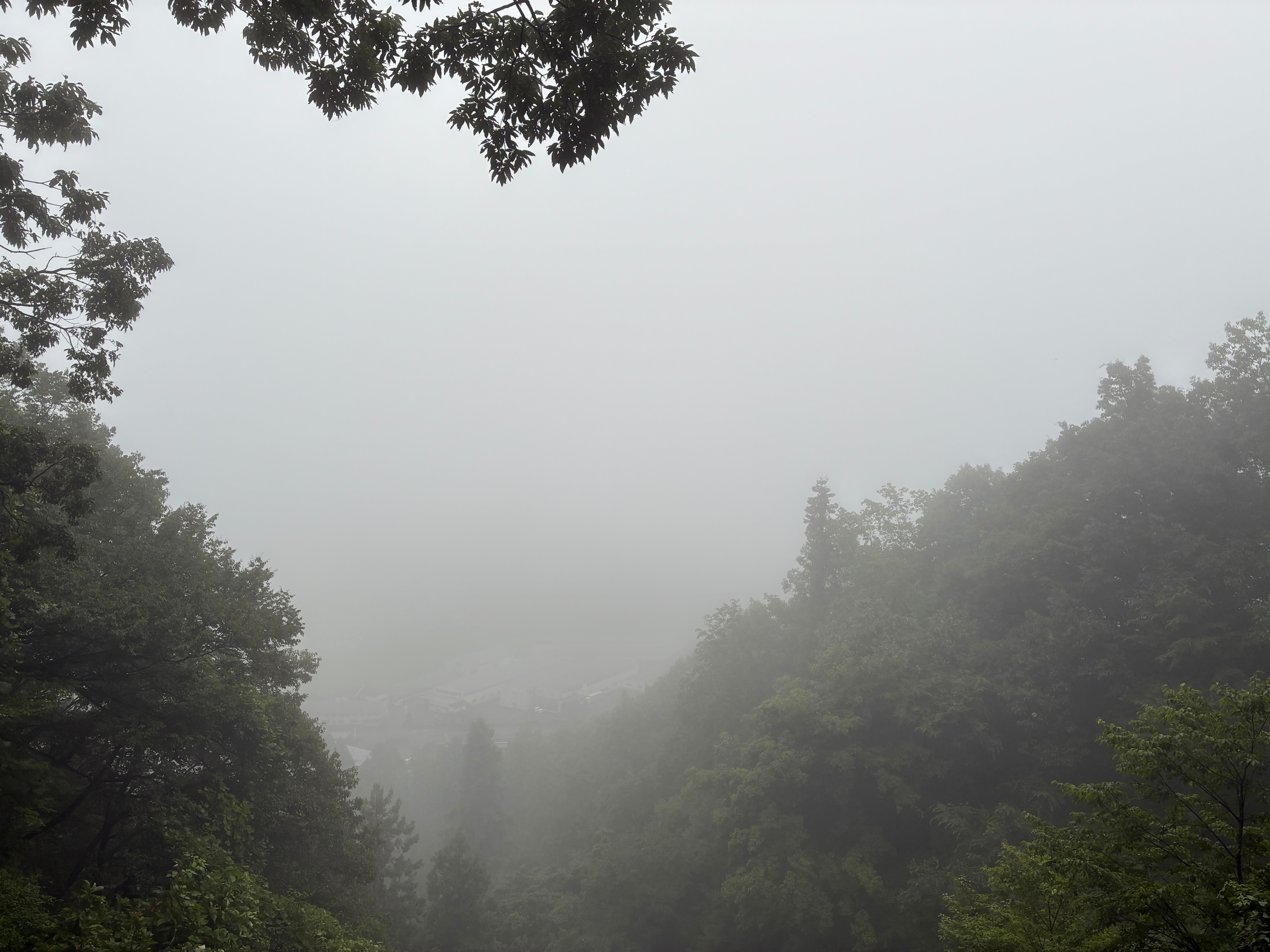 f:id:uraganokami:20250815220638j:image