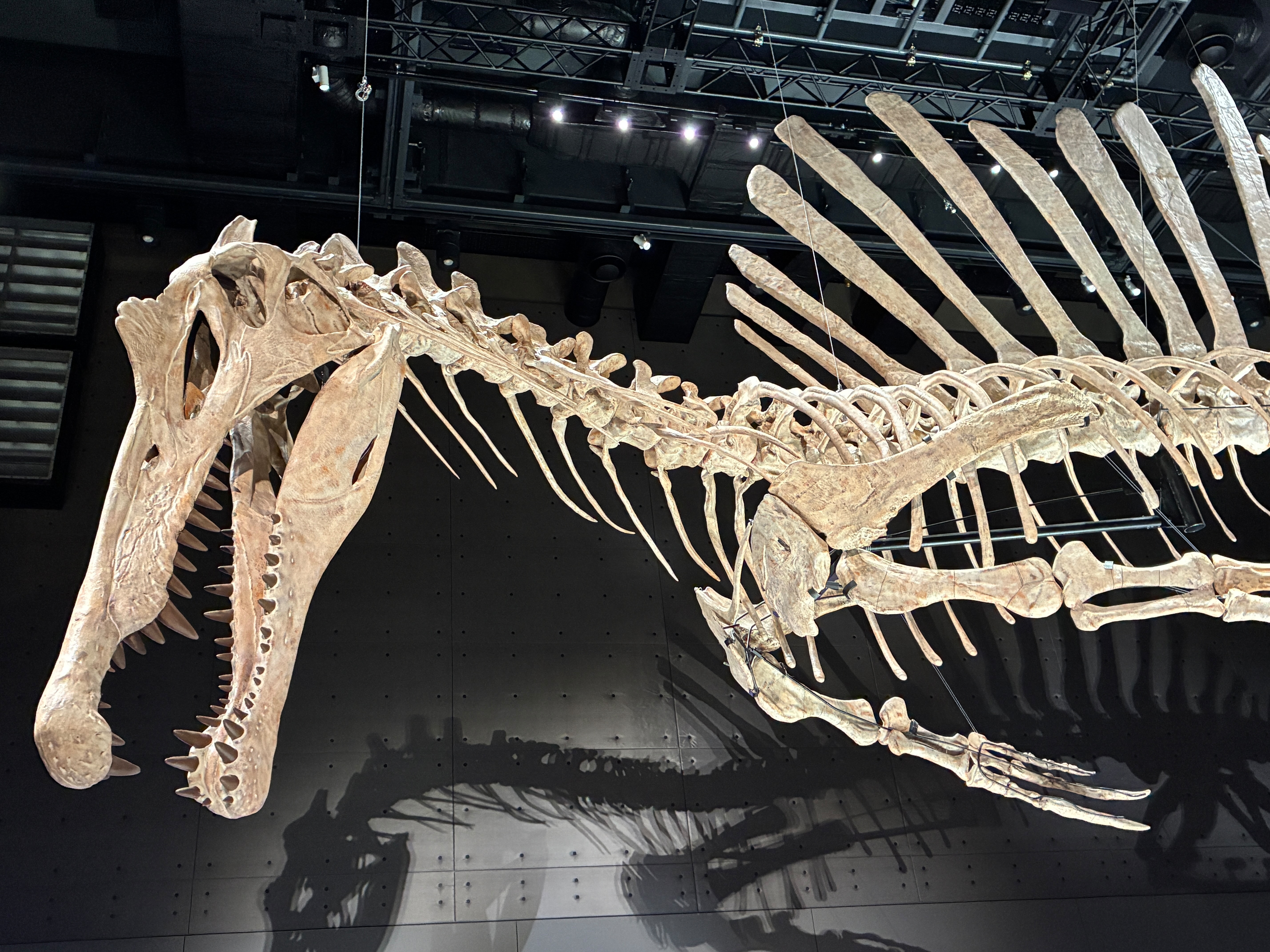 f:id:uraganokami:20250815221353j:image