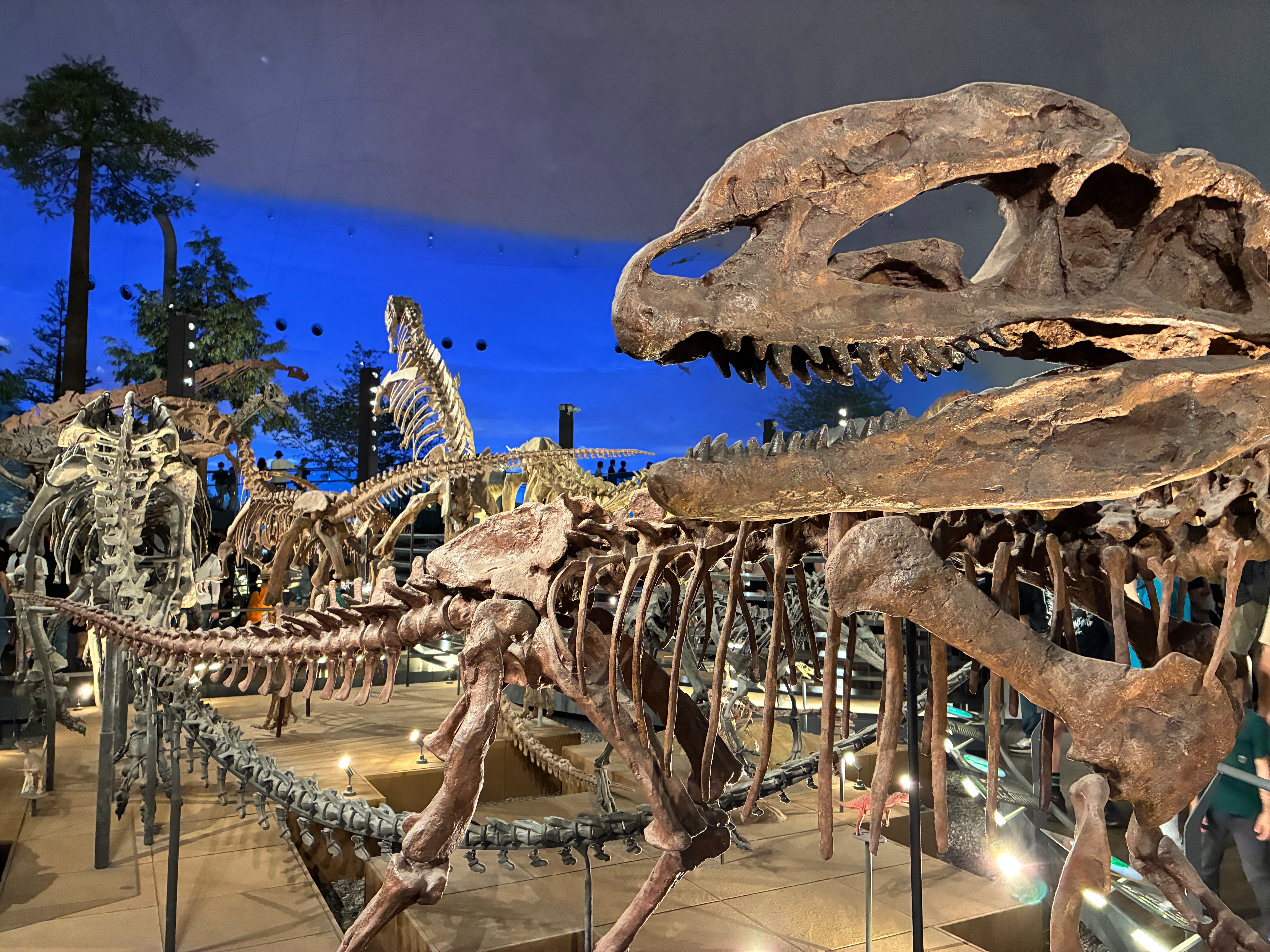 f:id:uraganokami:20250815221401j:image