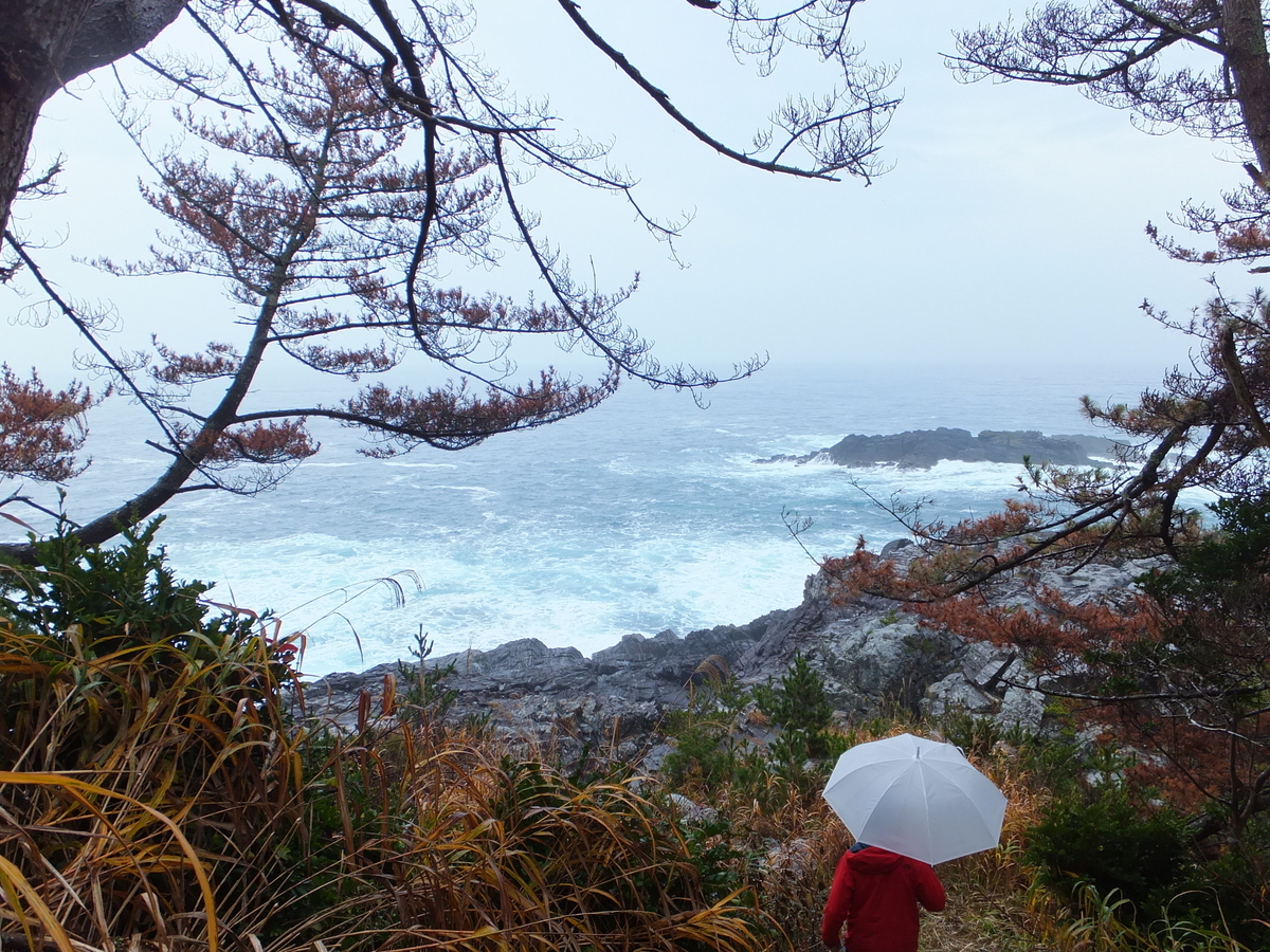 唐桑半島 御崎岬 雨の中絶景めぐり