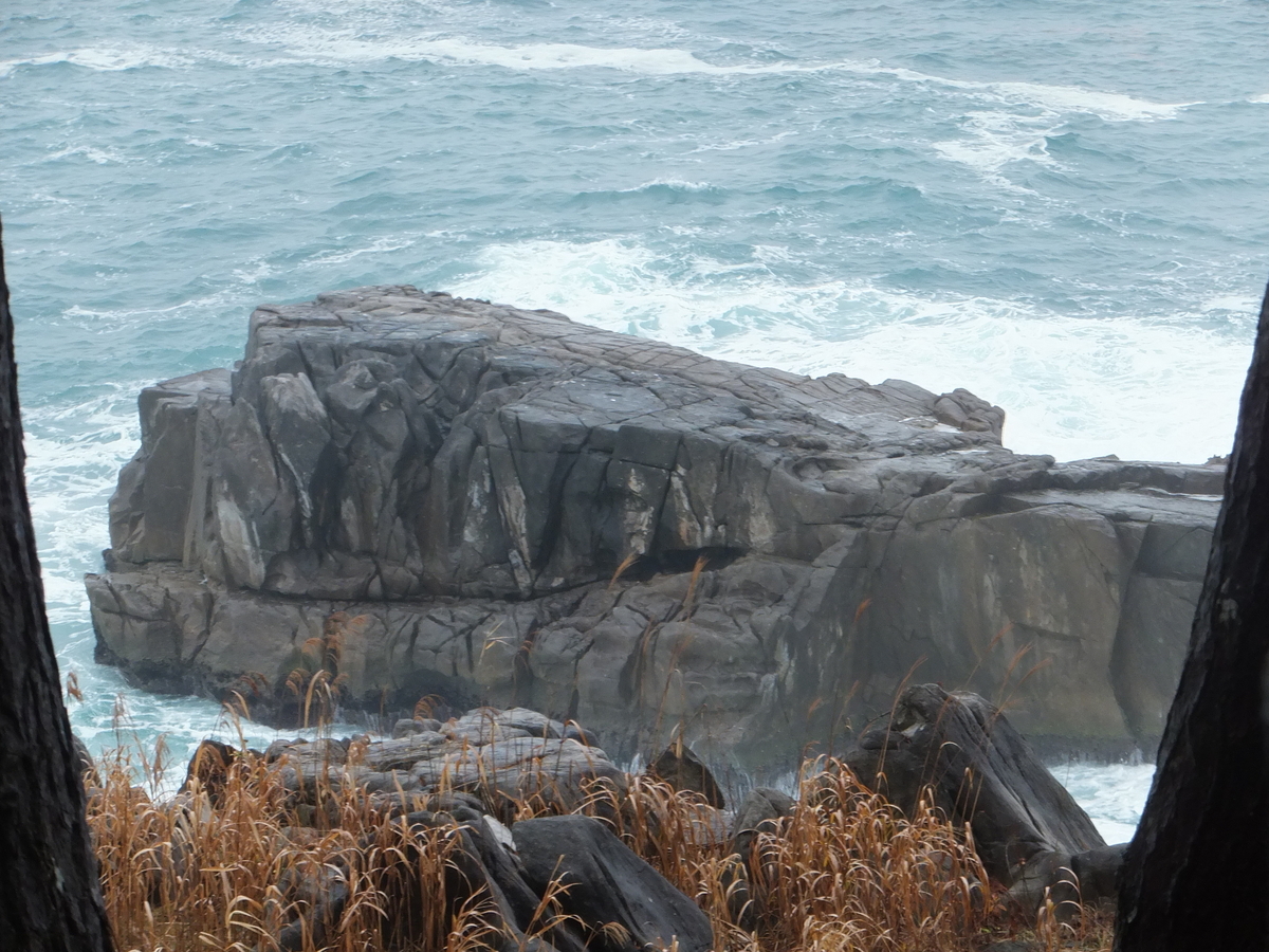唐桑半島 半造 俎板岩 2014年