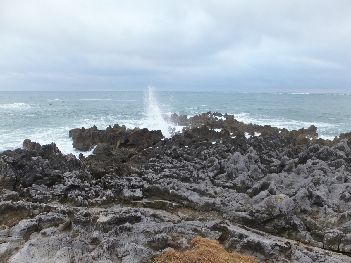気仙沼 岩井崎 潮吹岩 2014年