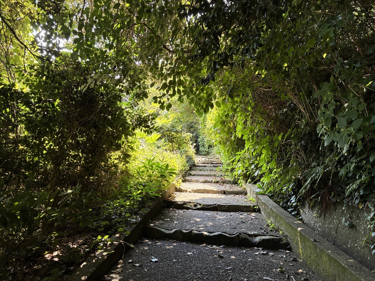 横須賀市観音崎 灯台への道