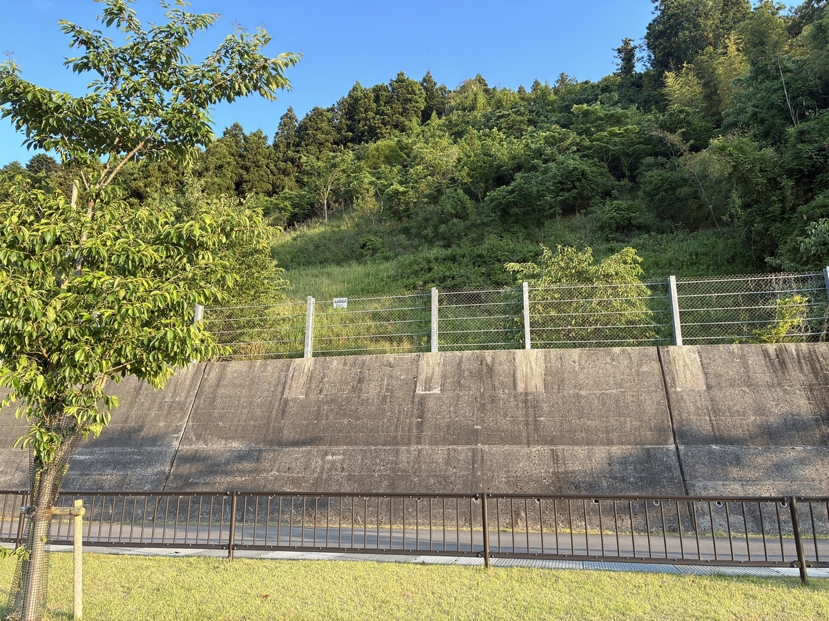 旧大川小学校 裏山