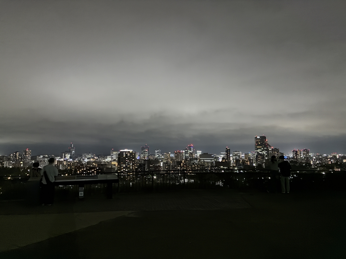 仙台青葉城 本丸跡と市街地の夜景とカップル