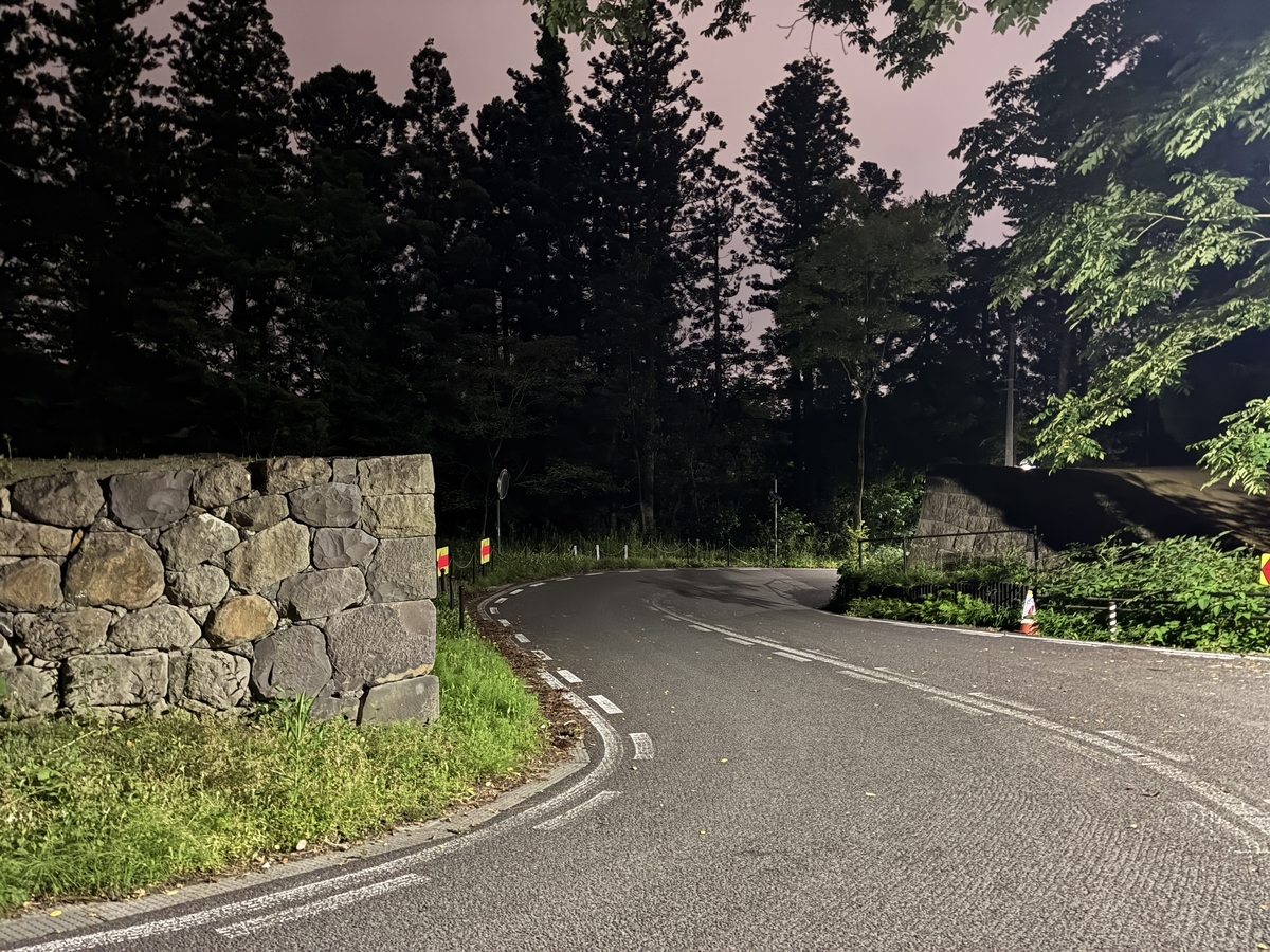 仙台青葉城 夜の中門跡