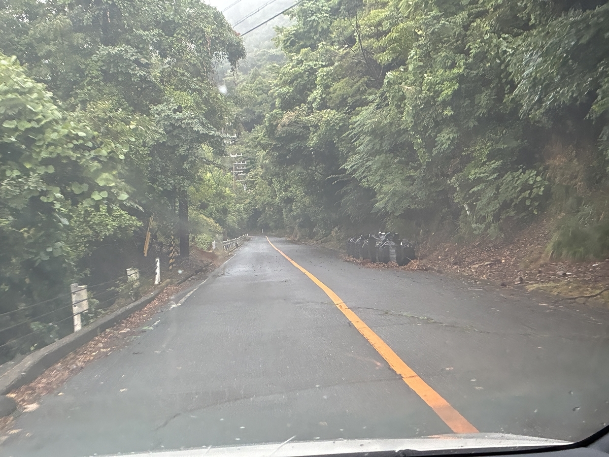 福井県小浜市 エンゼルライン 猿と鹿に出会う。