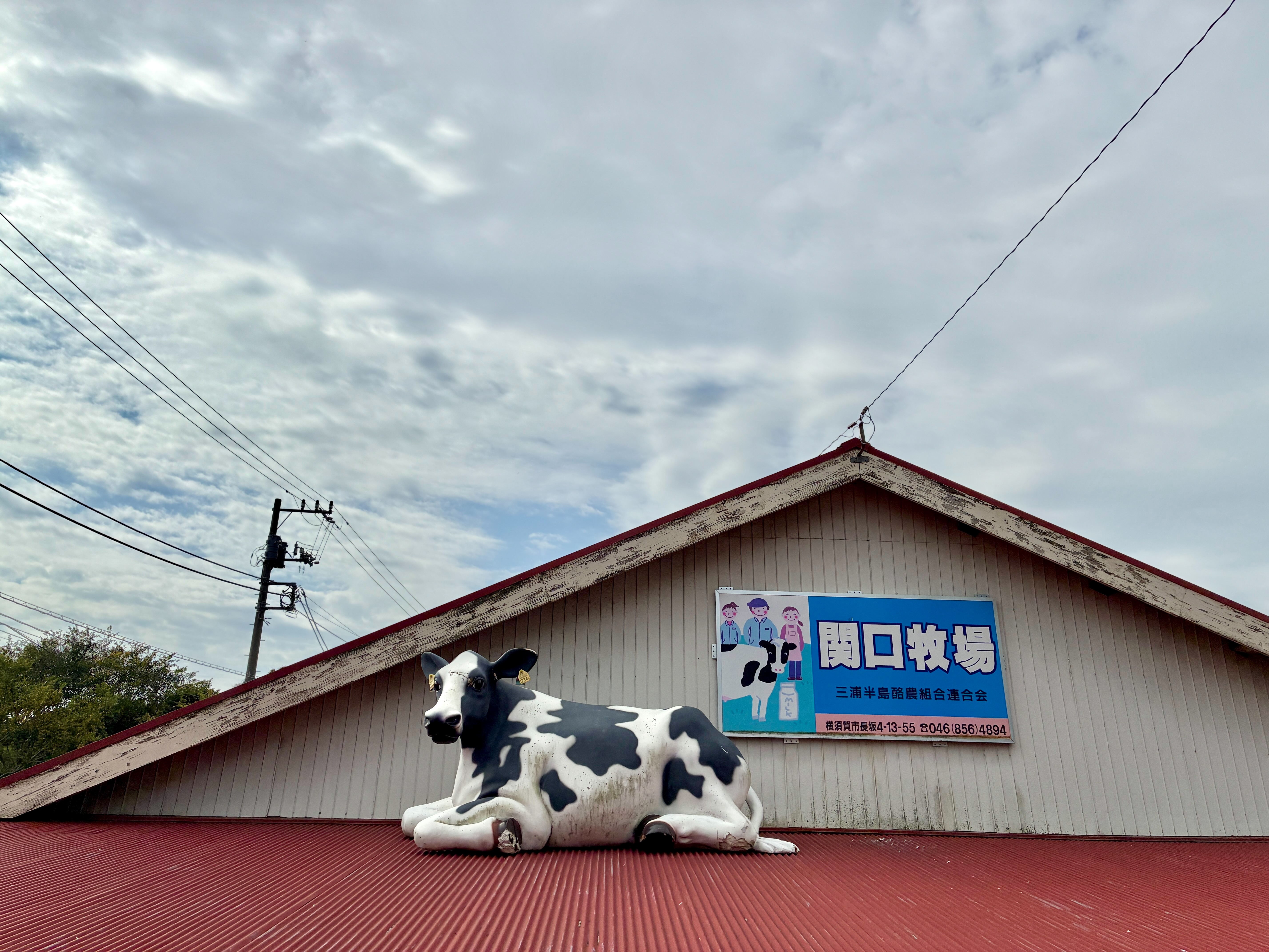 横須賀市 関口牧場 赤い屋根に牛と看板