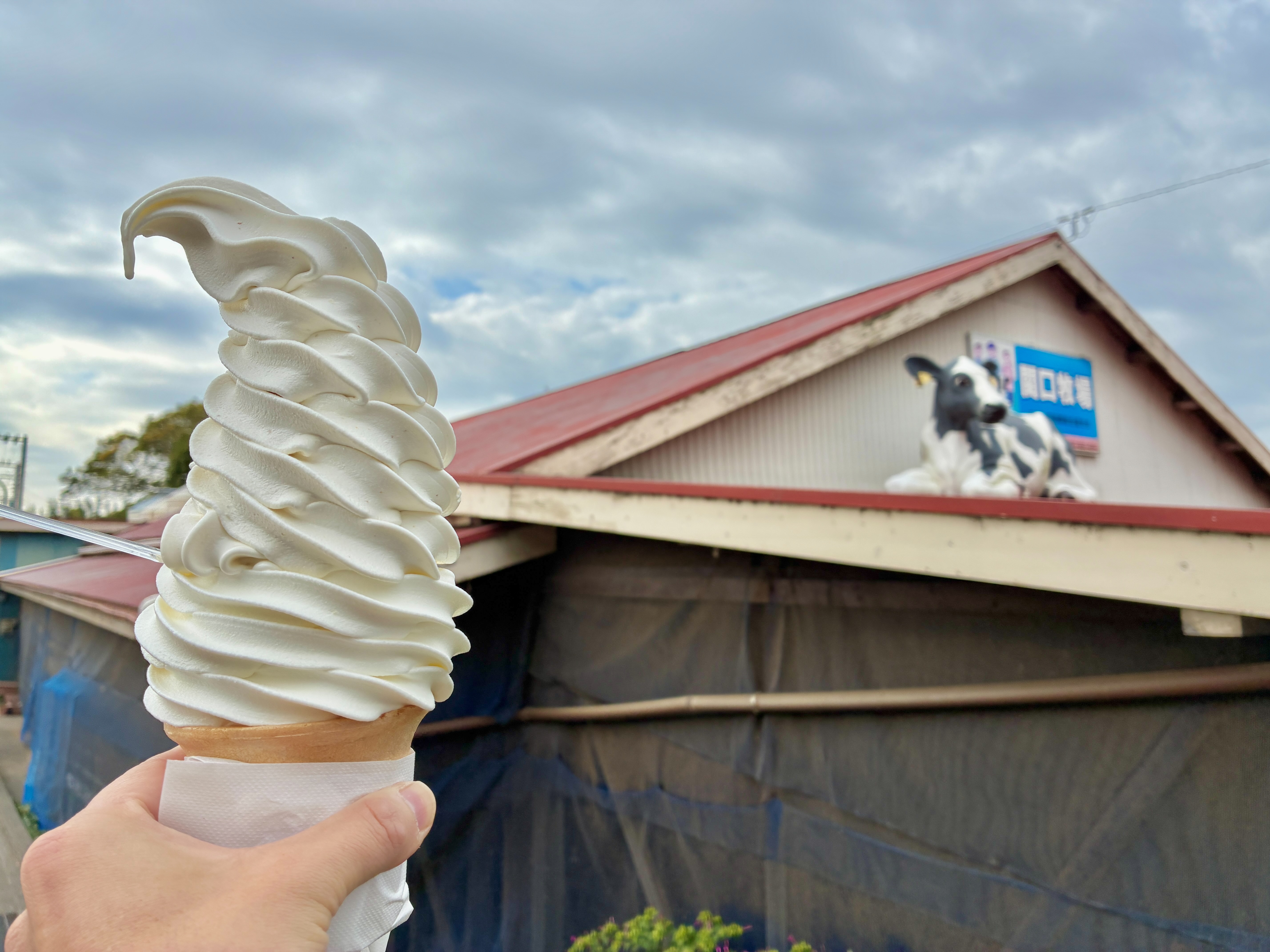 よこすか関口牧場 巨大すぎるソフトクリームを何とか撮影