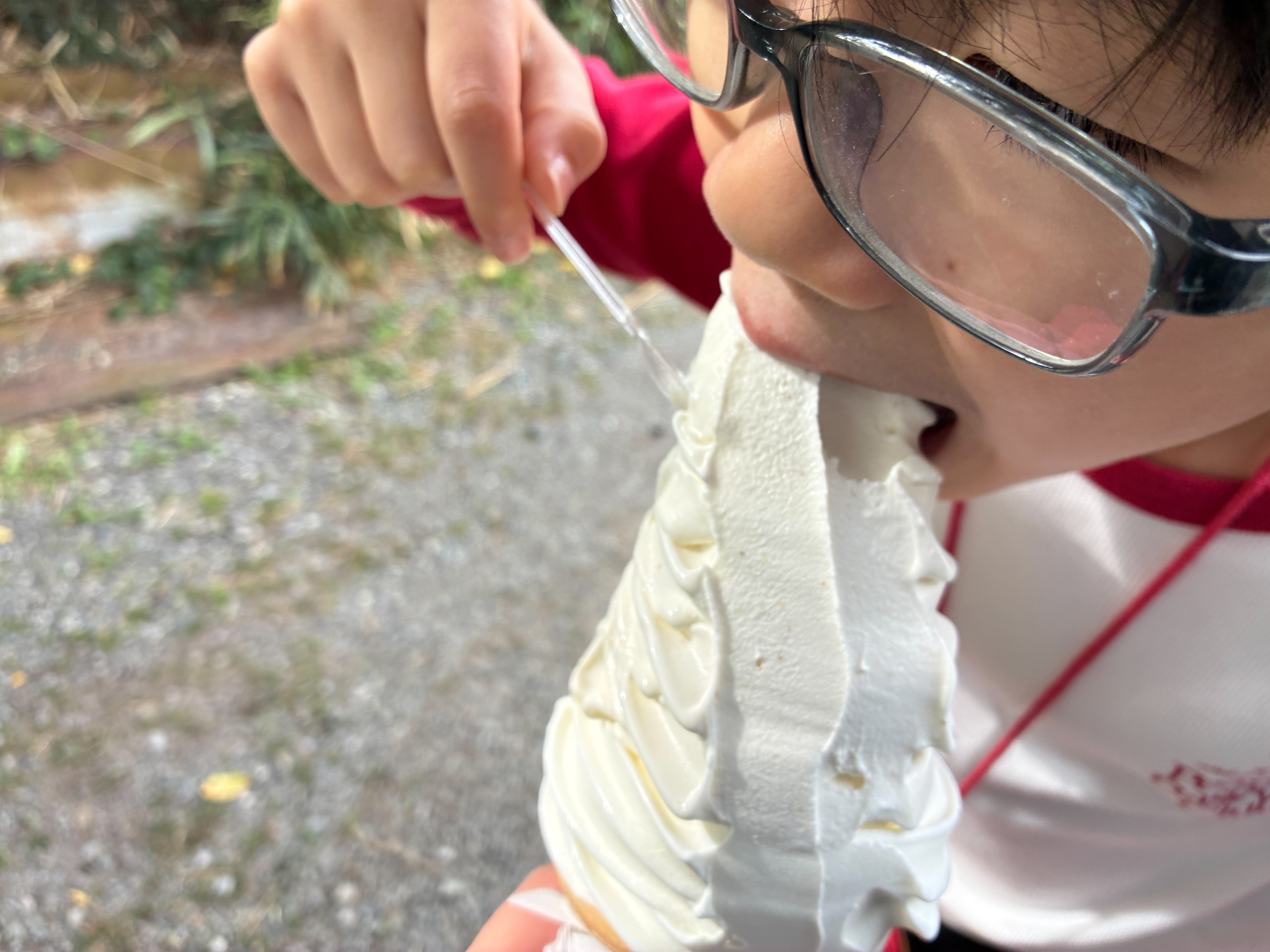 よこすか関口牧場 ソフトクリームにかぶりつく