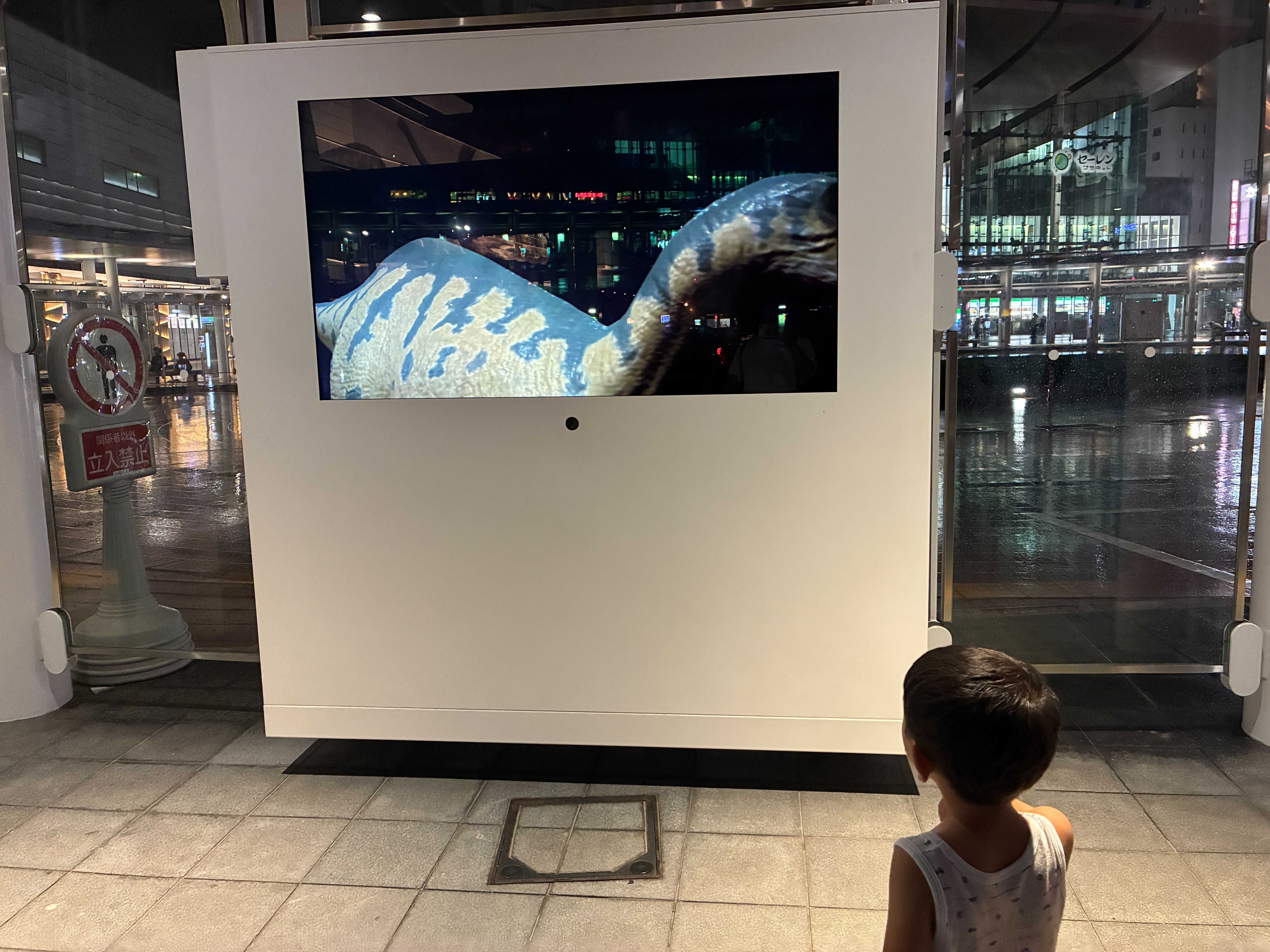 福井駅 西口バスターミナル ディノウィンドウ