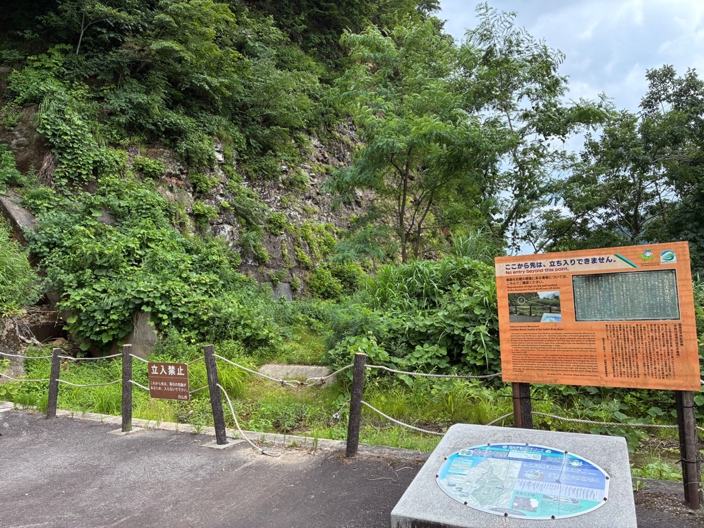 白山手取川ジオパーク 桑島化石壁