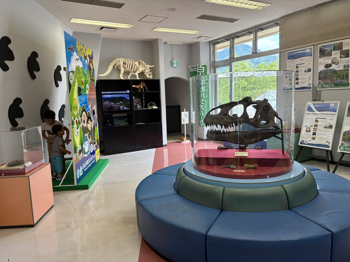 白山恐竜パーク白峰 学習館 アロサウルス頭骨