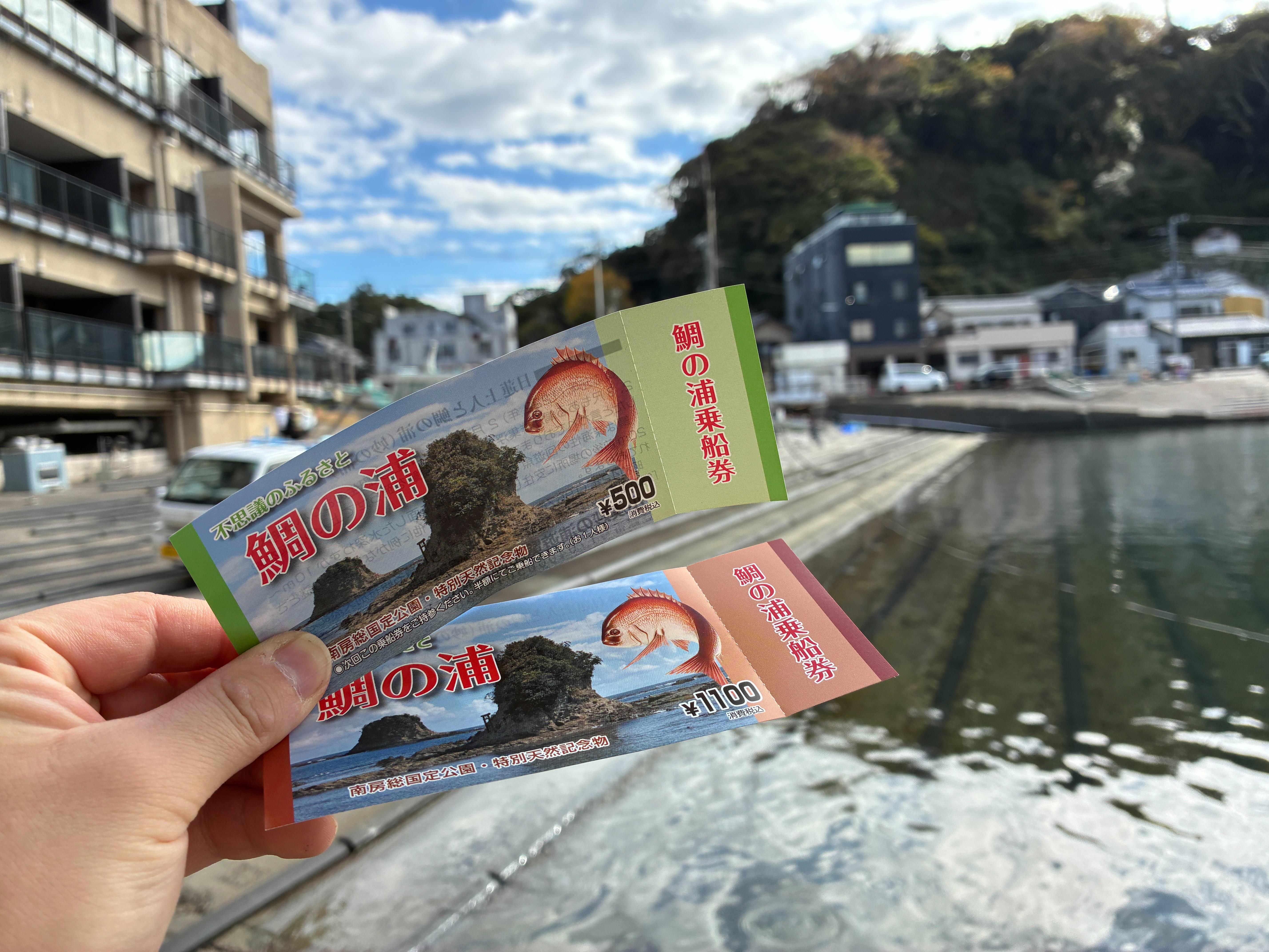 鯛の浦遊覧船 チケット