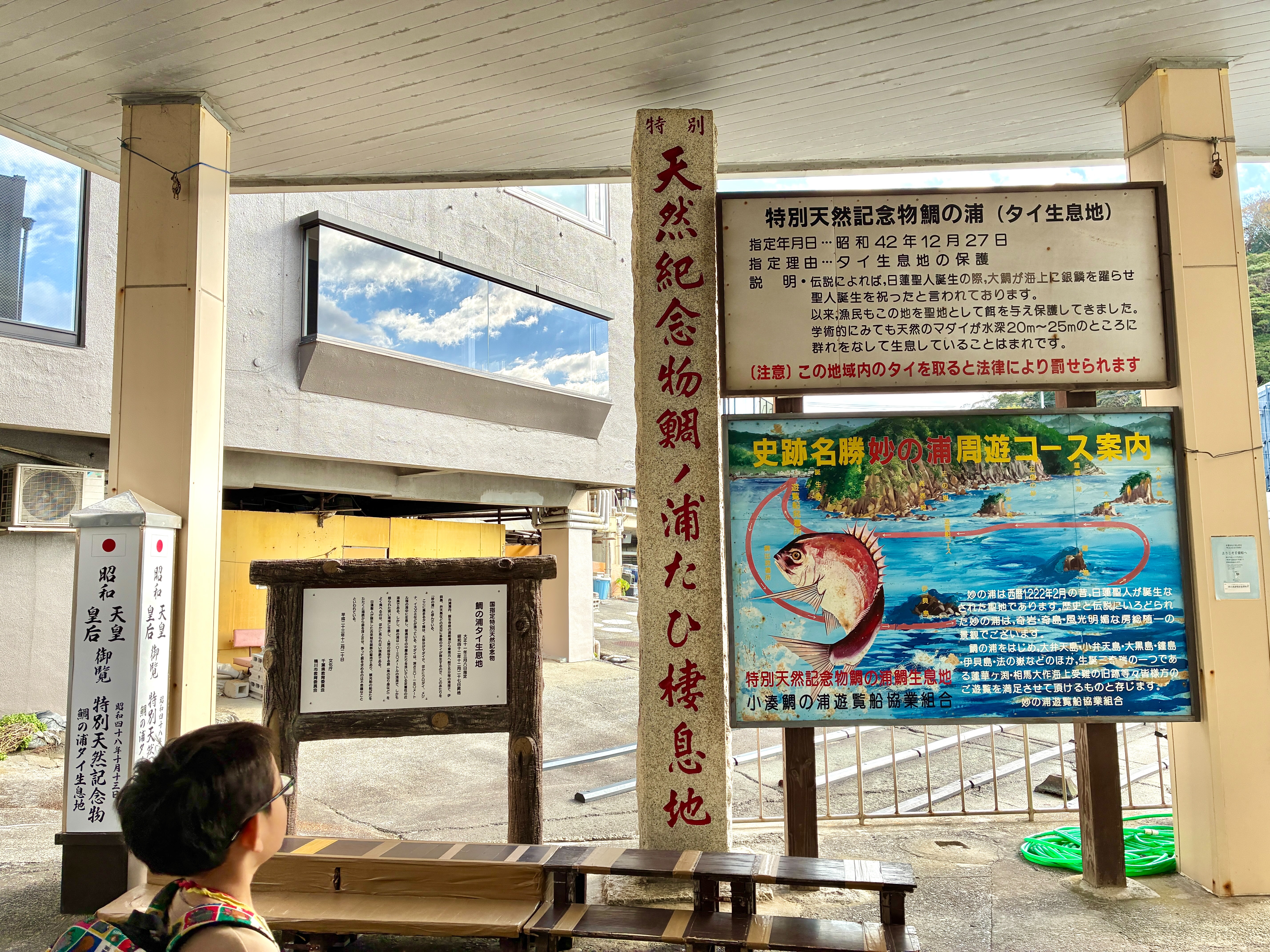 f:id:uraganokami:20251123082436j:image