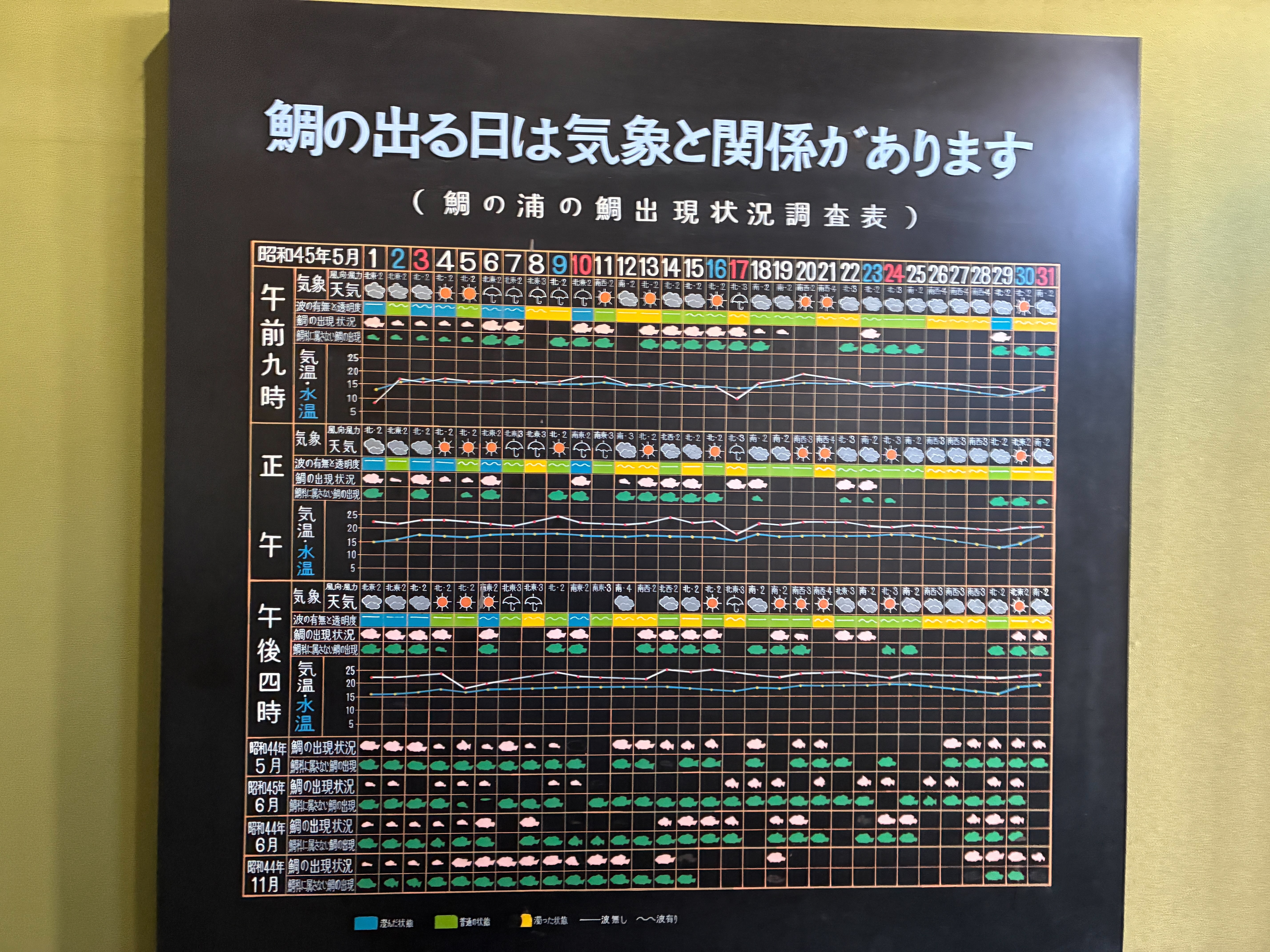 安房小湊 鯛の浦会館 鯛の出現する気象について