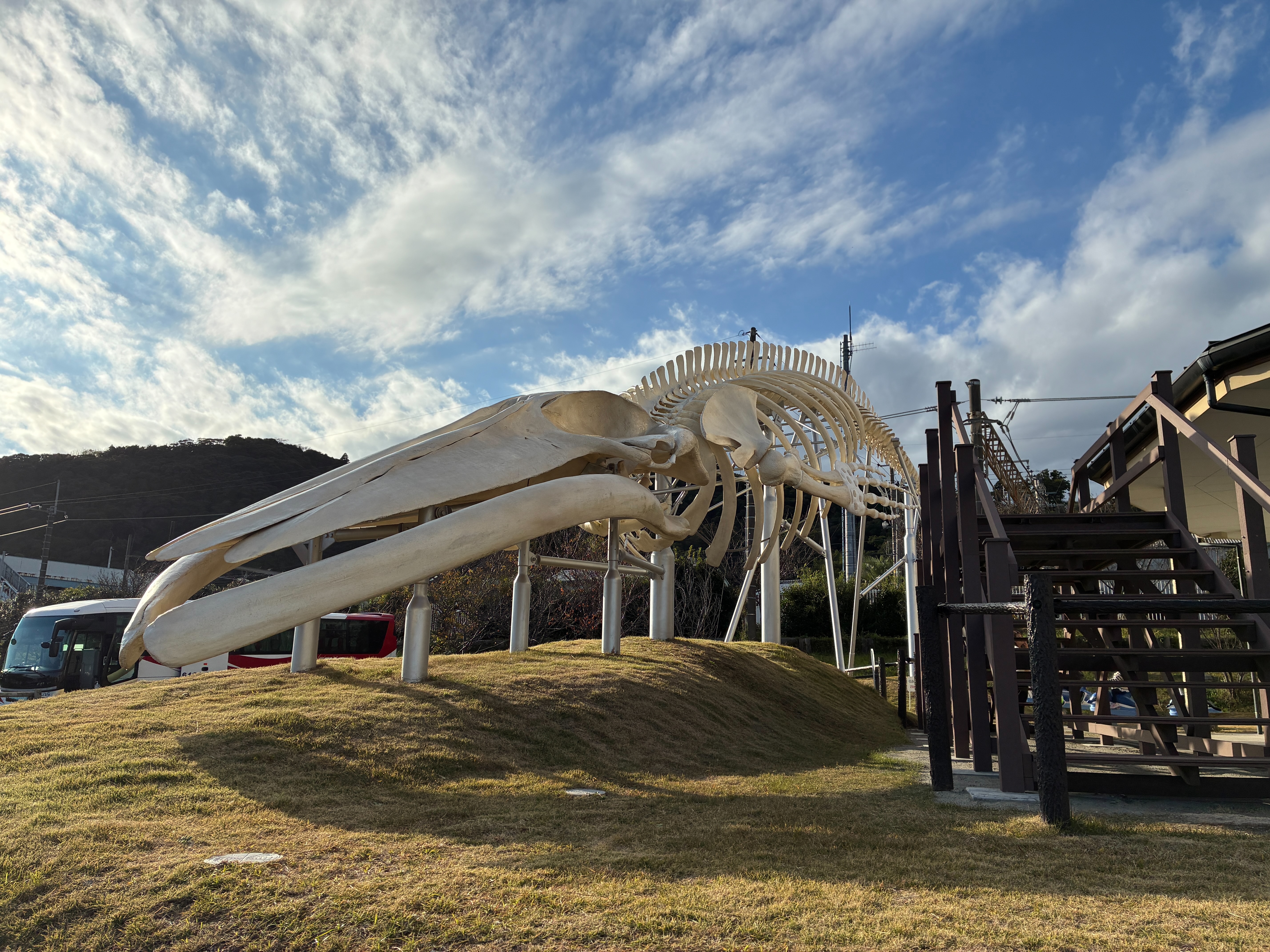 道の駅 和田浦WA・O！」雄大シロナガスクジラ骨格標本＆旨いぞ鯨料理