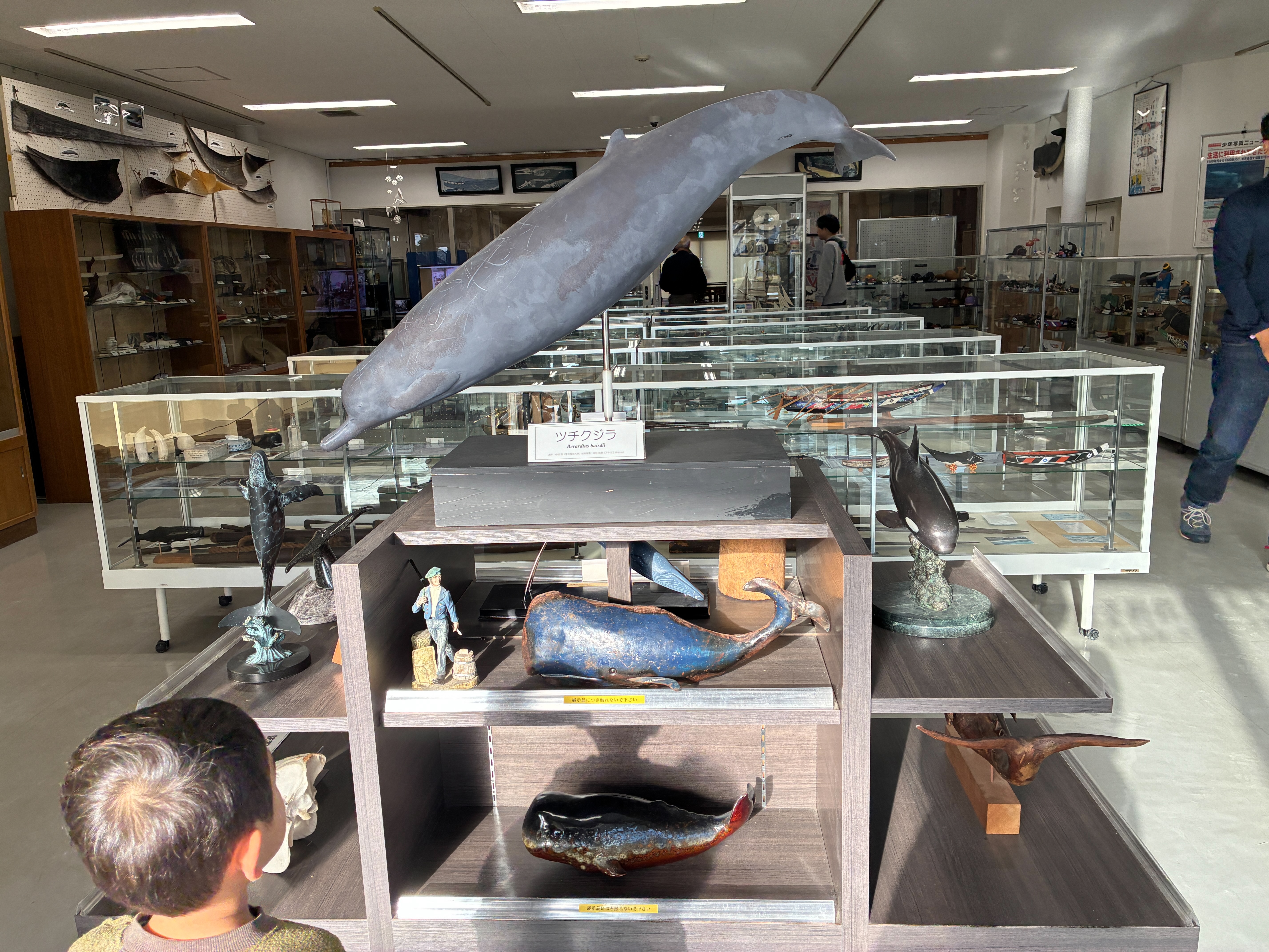 道の駅 和田浦WA・O 鯨資料館 クジラの展示の数々