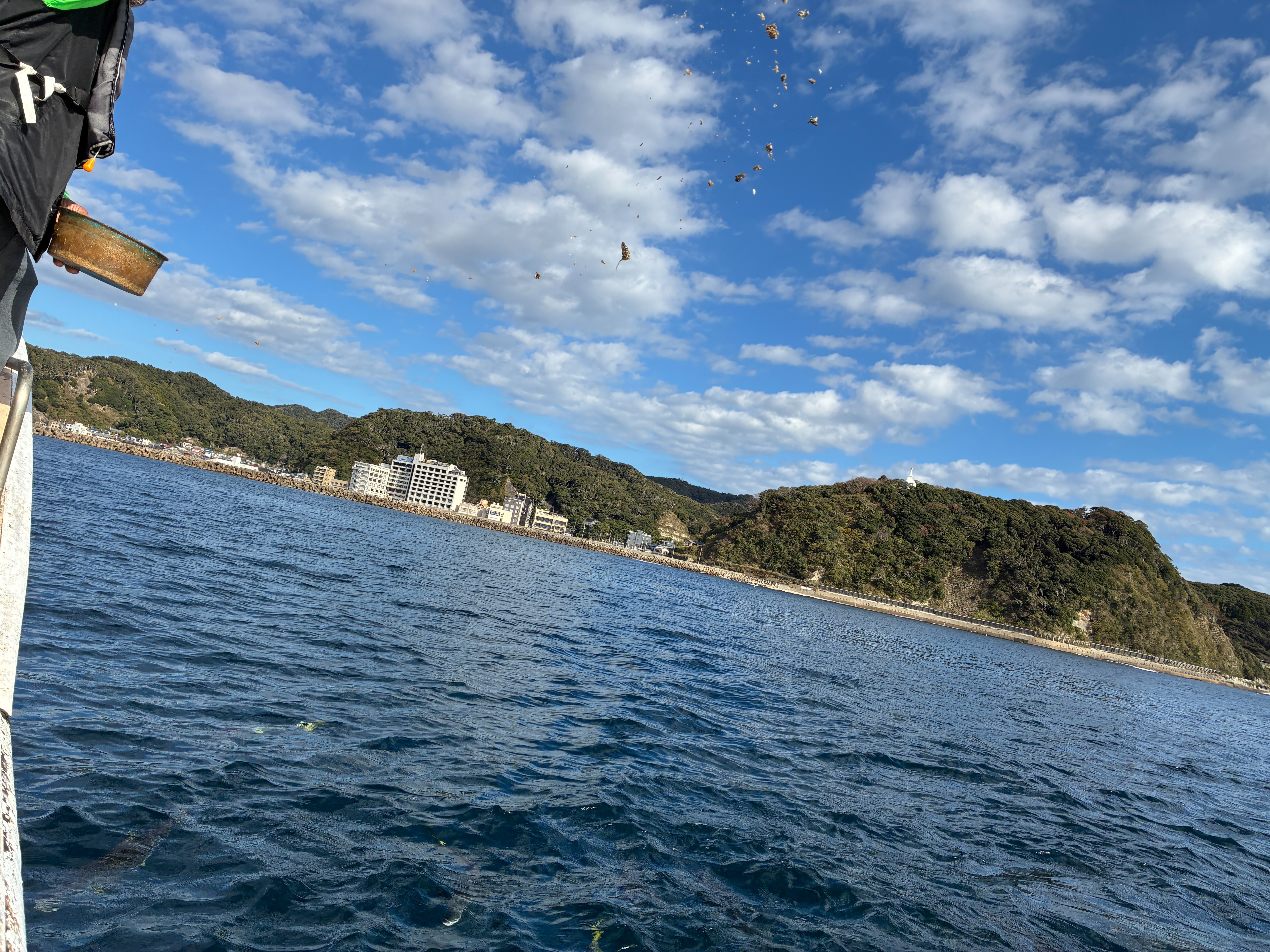 安房小湊 鯛の浦遊覧船 撒き餌