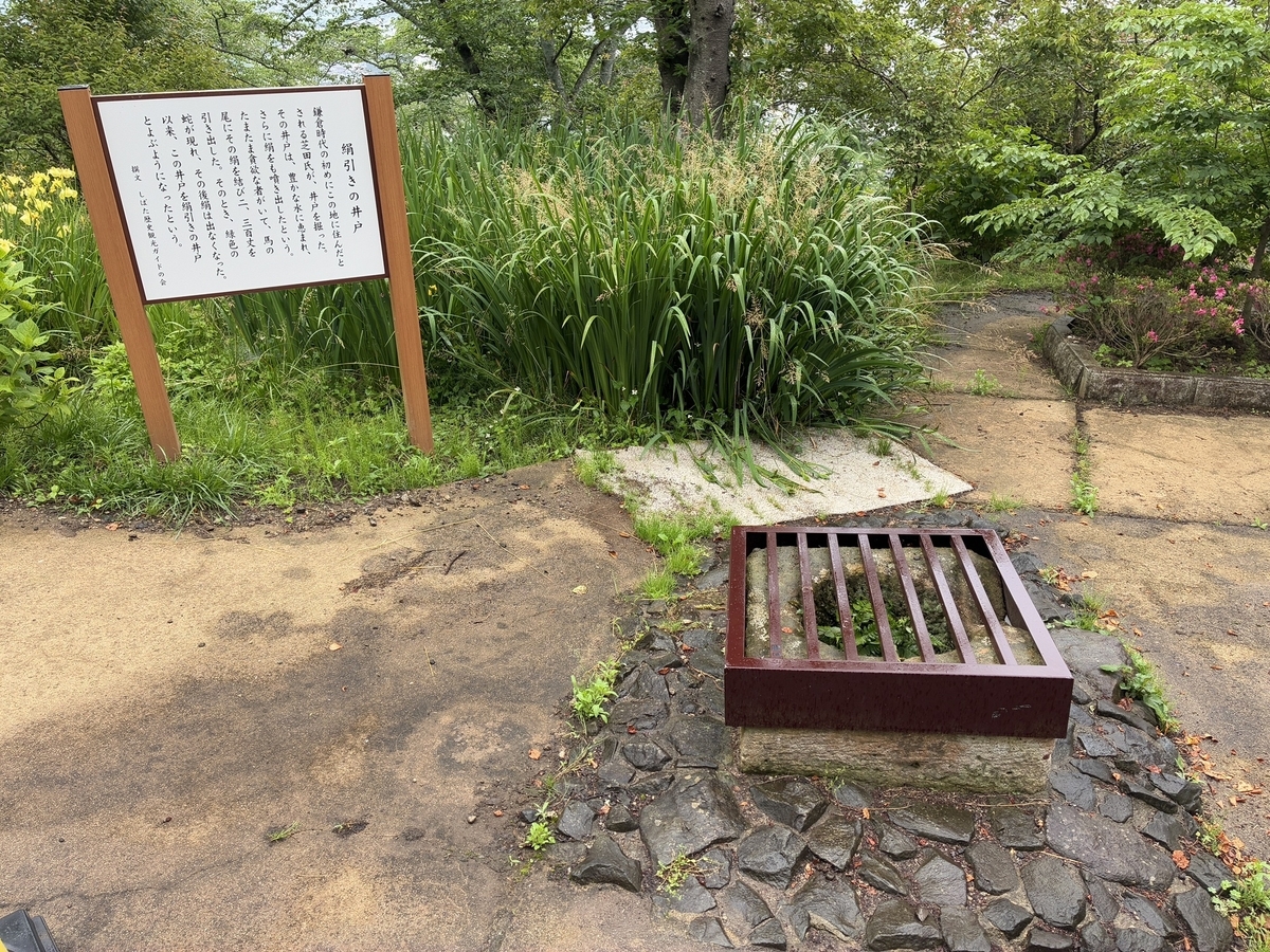 船岡城址公園 絹引きの井戸