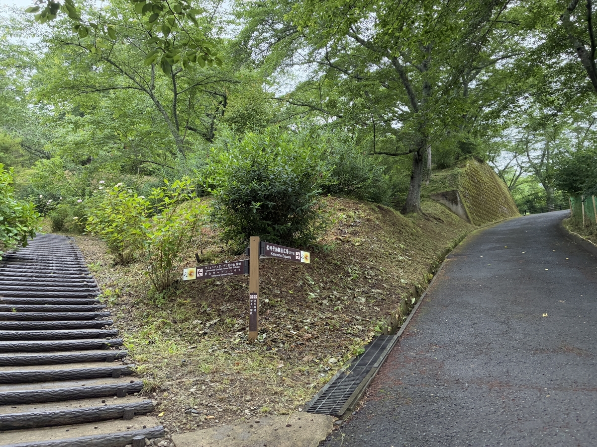 船岡城址公園 坂道分岐