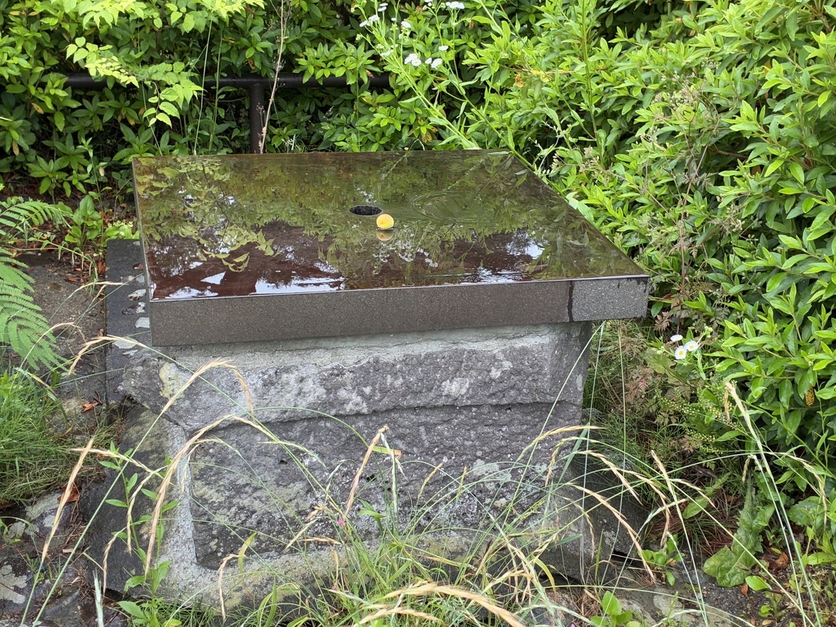 船岡城址公園 城中井戸