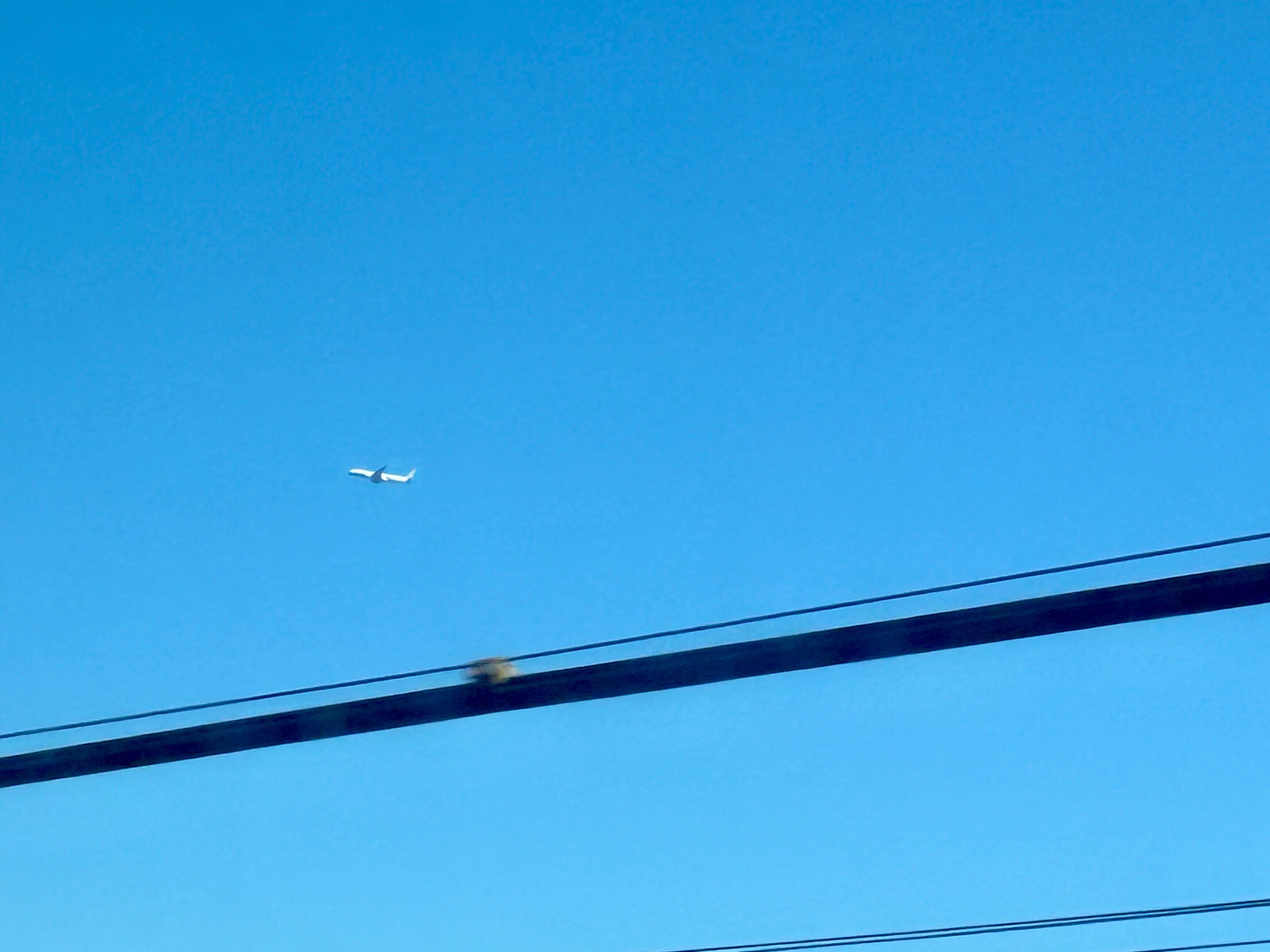 成田エクスプレスから飛行機