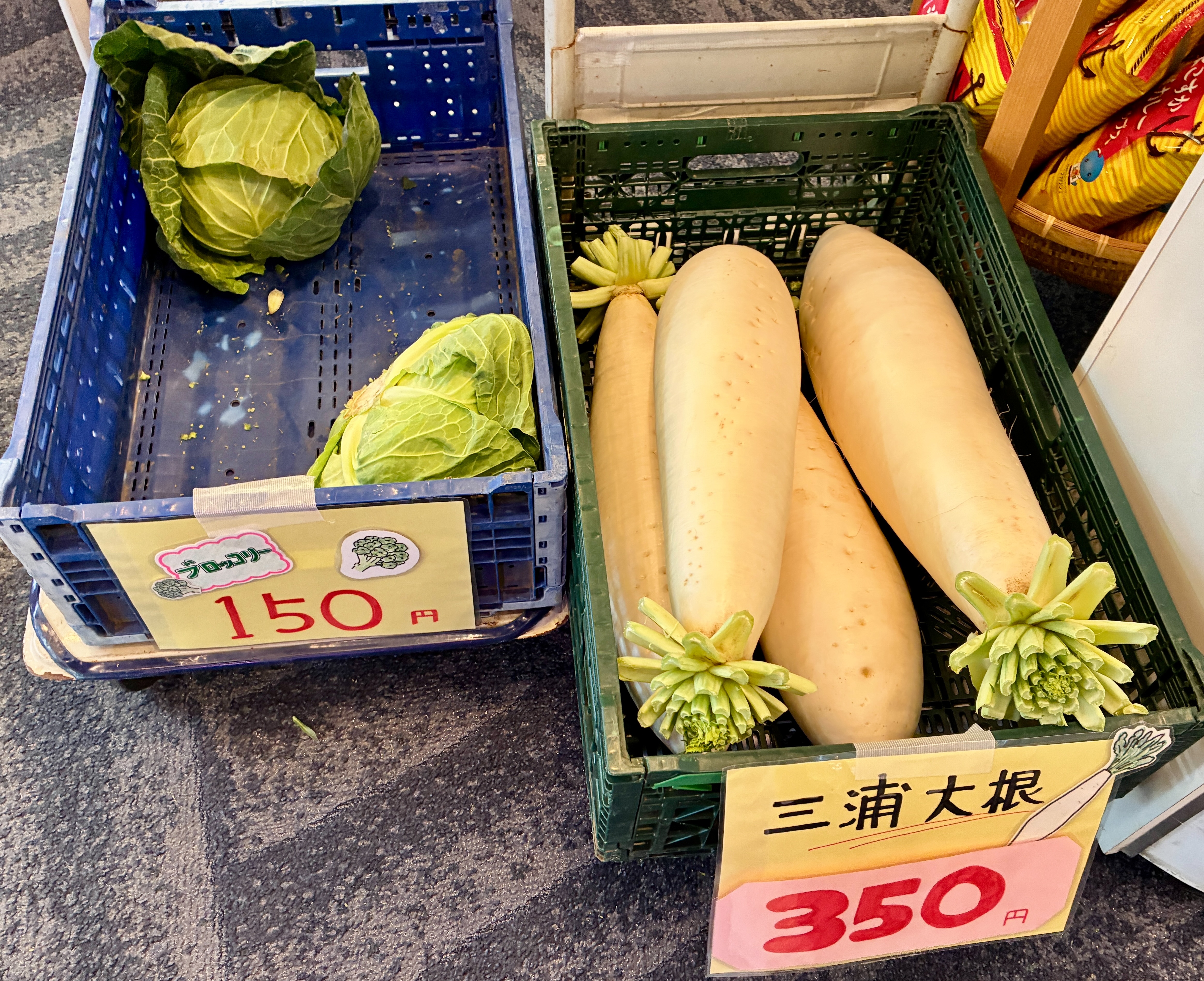 マホロバ・マインズ三浦 三浦野菜の販売