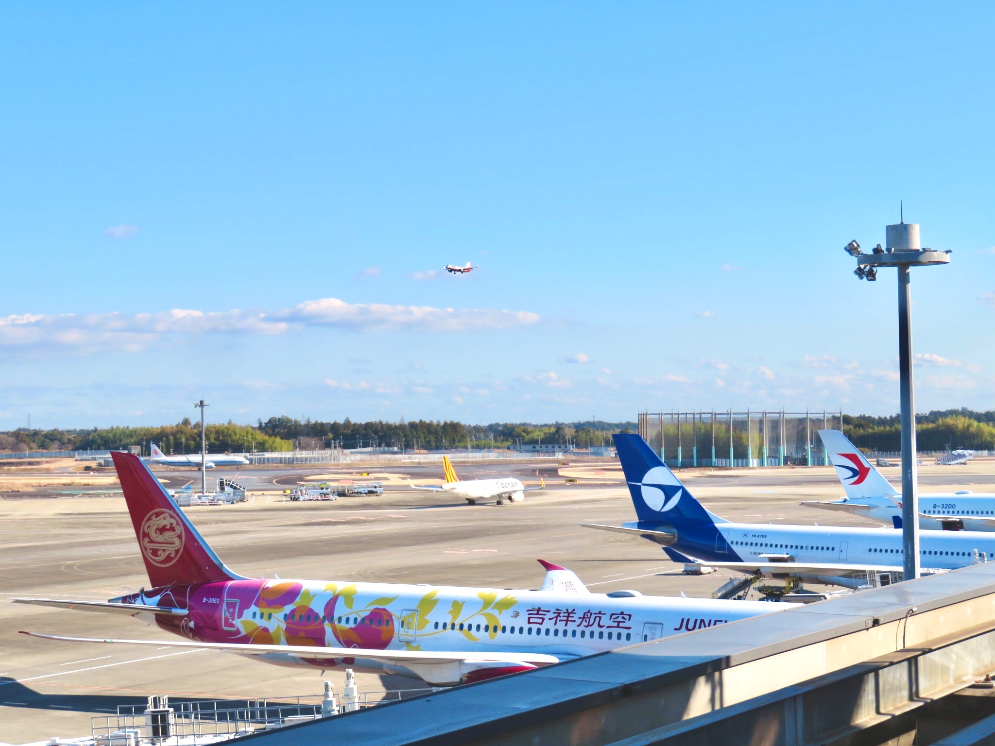 成田空港第2ターミナル 見学デッキ(南) 吉祥航空