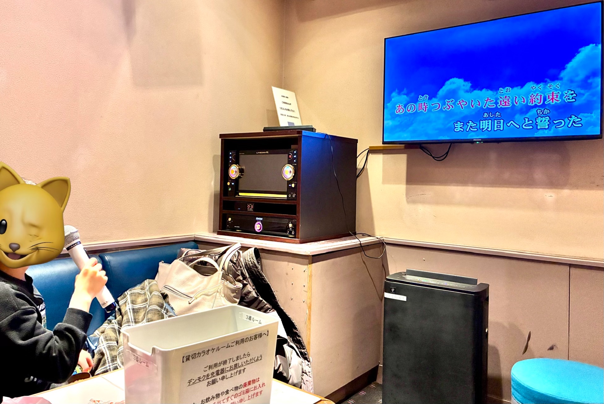 ホテル湯西川 無料カラオケ