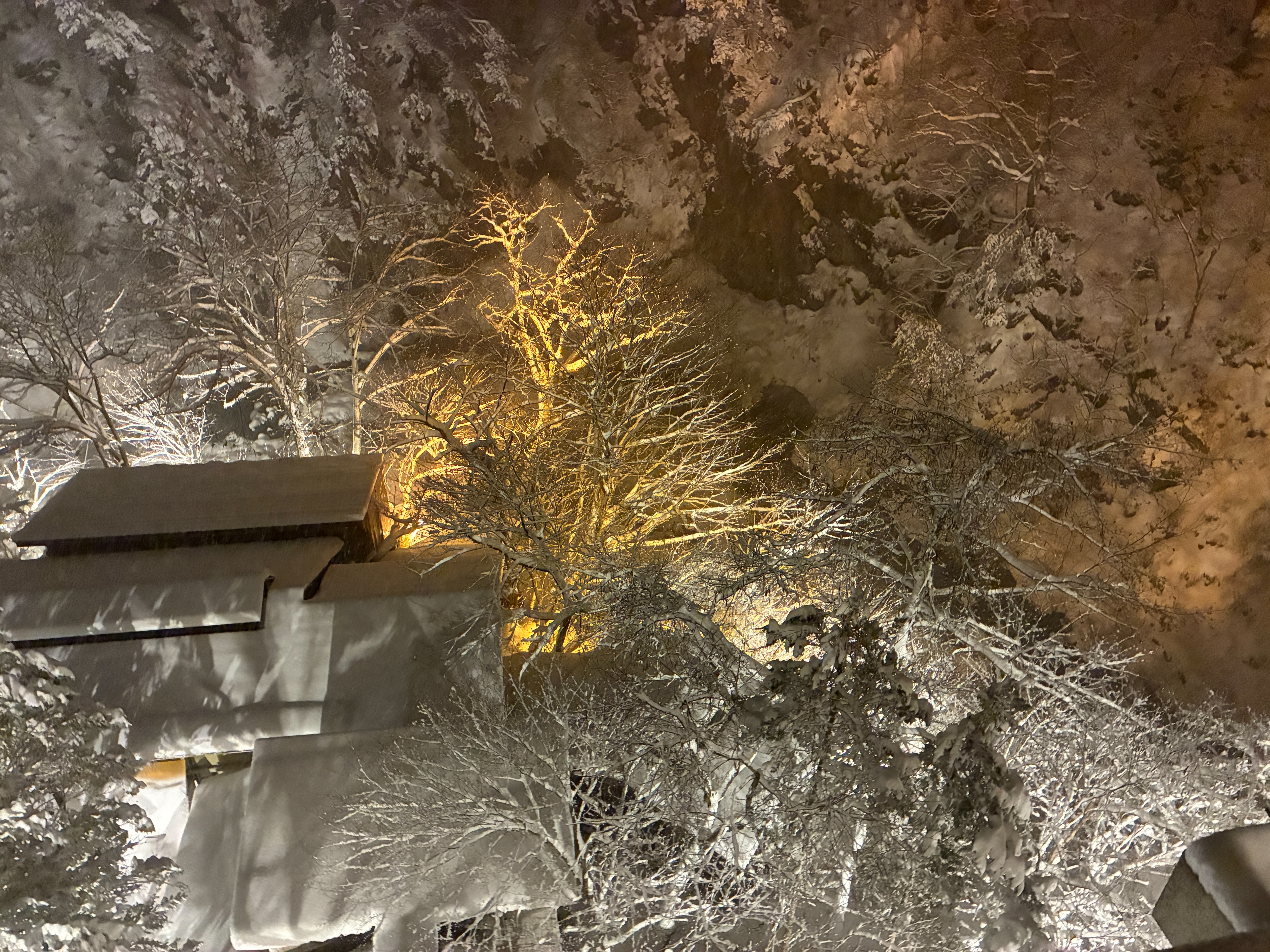 湯西川温泉 ホテル湯西川 部屋から降り積もる雪を眺める夜