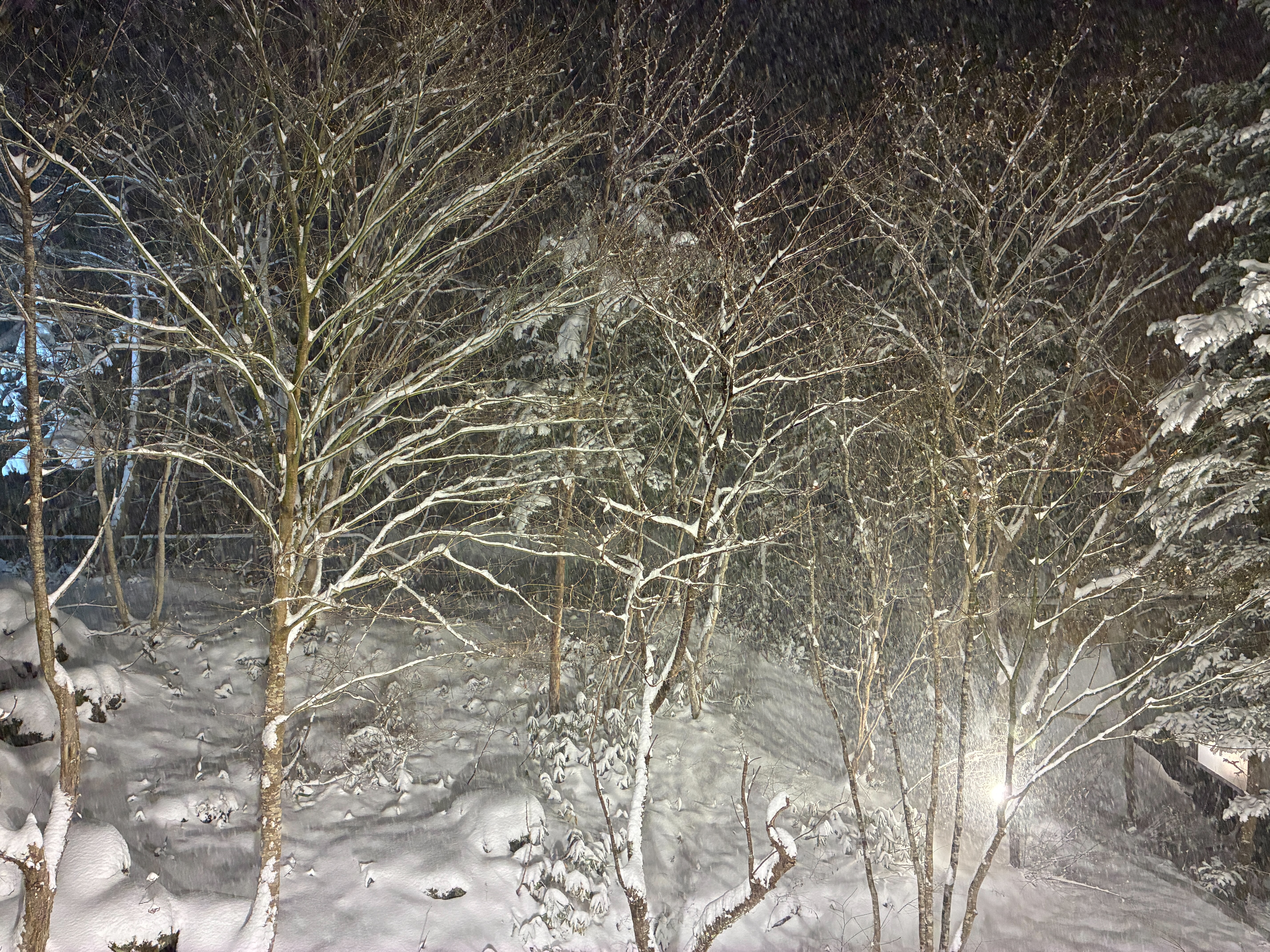 ホテル湯西川 ロビーで降り積もる雪を眺める。